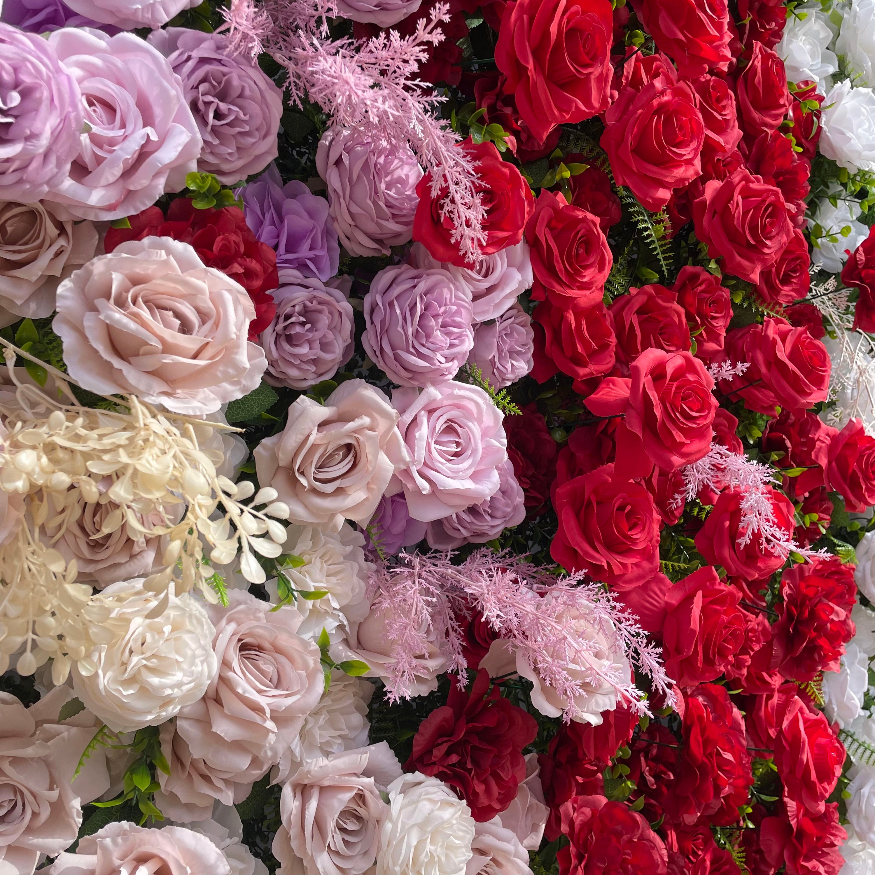 Muma：5D Fabric Artificial rolling up curtain flower wall Rose Morning