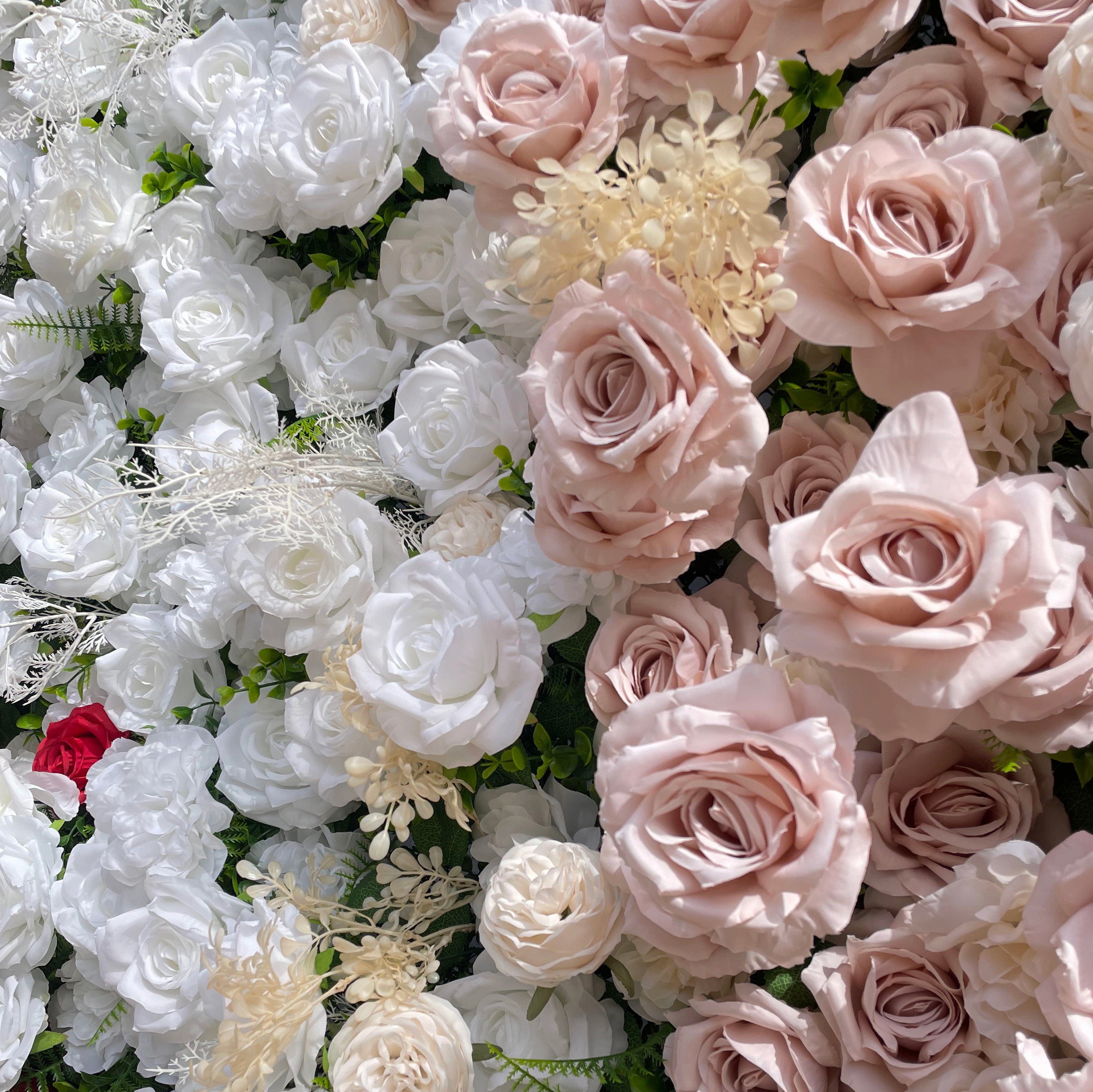 Muma：5D Fabric Artificial rolling up curtain flower wall Rose Morning