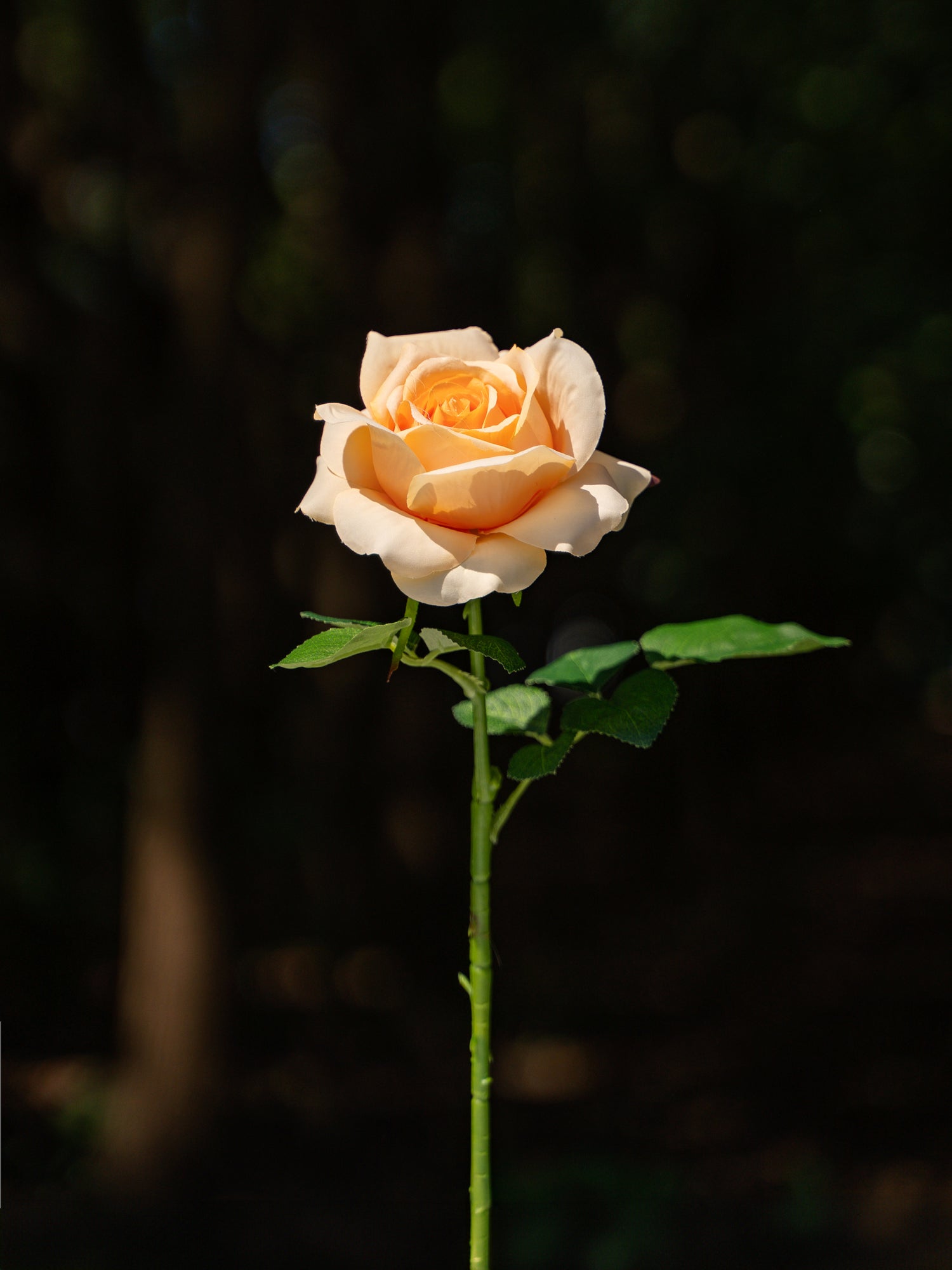 Fully Bloomed Rose (Light Orange)-18&quot; Tall