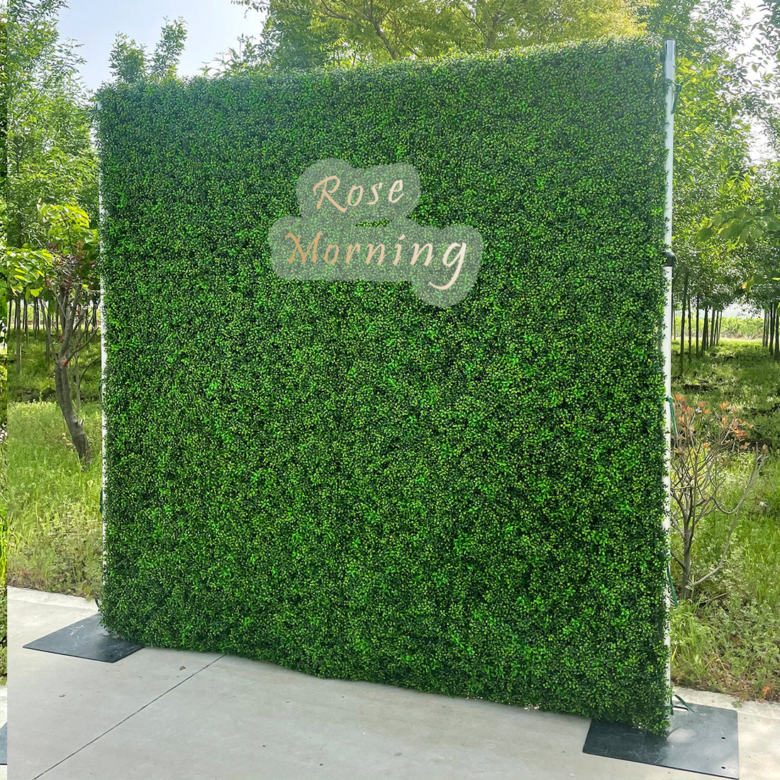 Lucky: 2D  Fabric Artificial Green Wall Rolling Up Curtain Green Wall R168 - 8ft*8ft Rose Morning