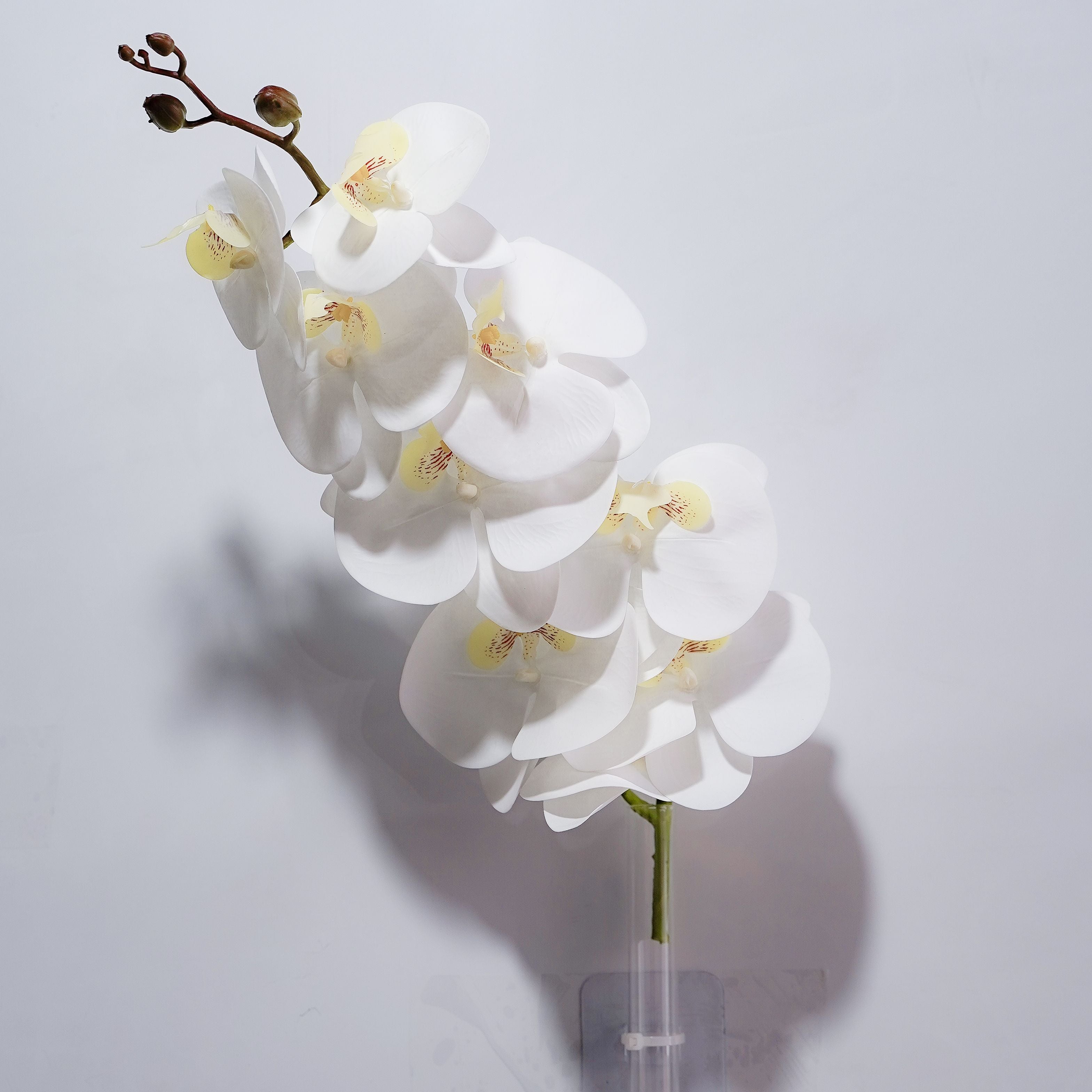 9-Head Soft-touch Butterfly Orchid Rose Morning