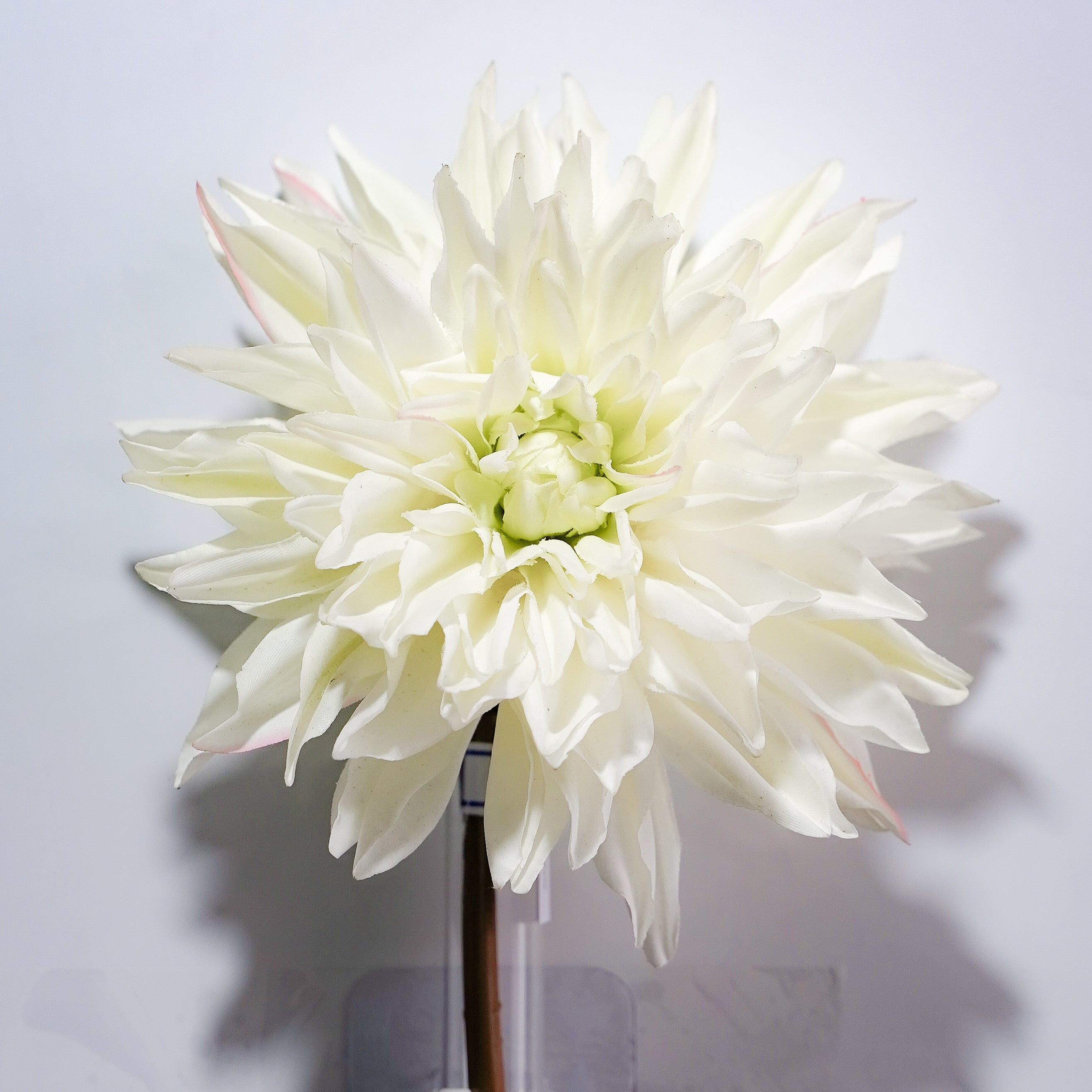 Single Big Lily Chrysanthemum Soft-touch Moisturizing Rose Morning
