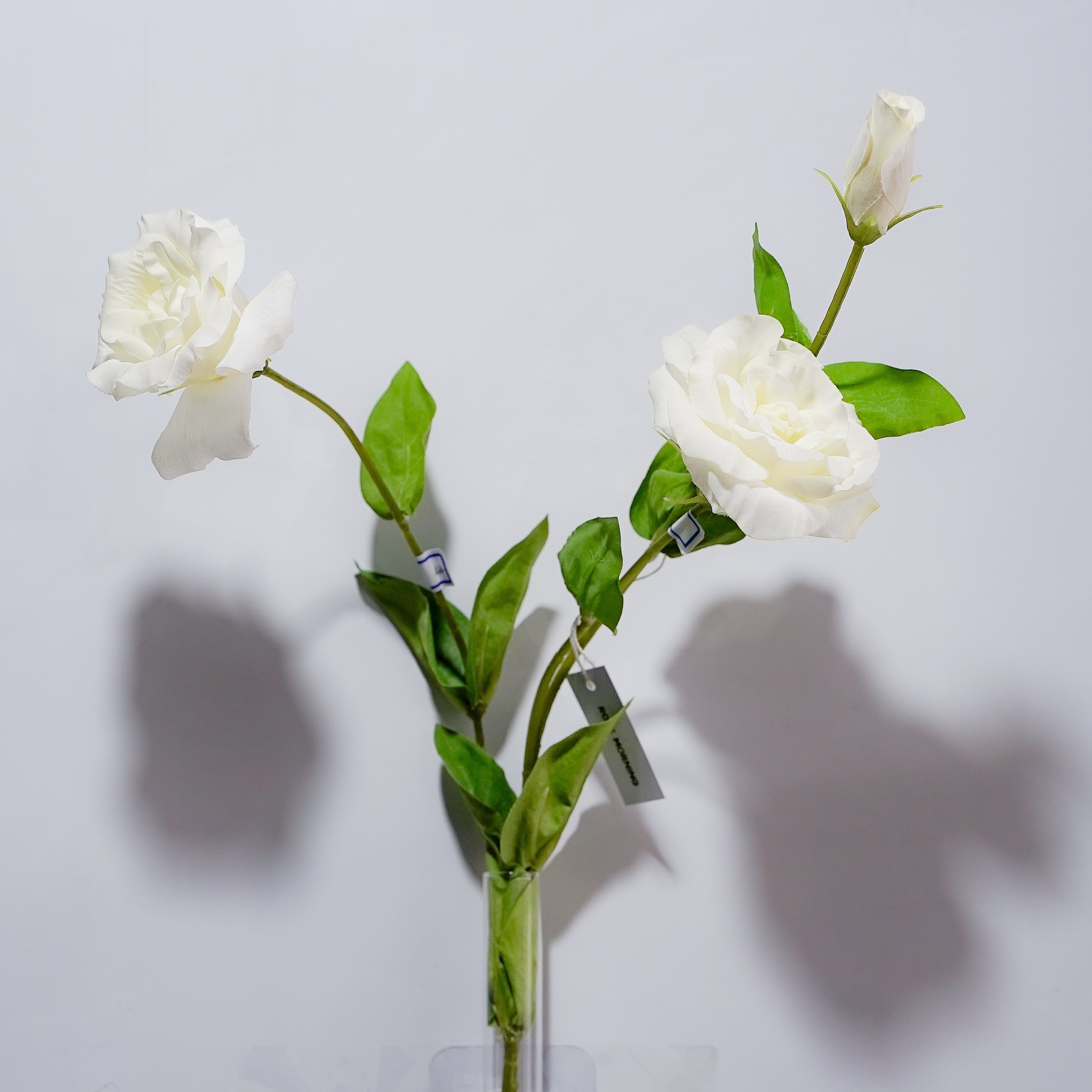 Soft-touch Moisturizing Bellflower Rose Morning