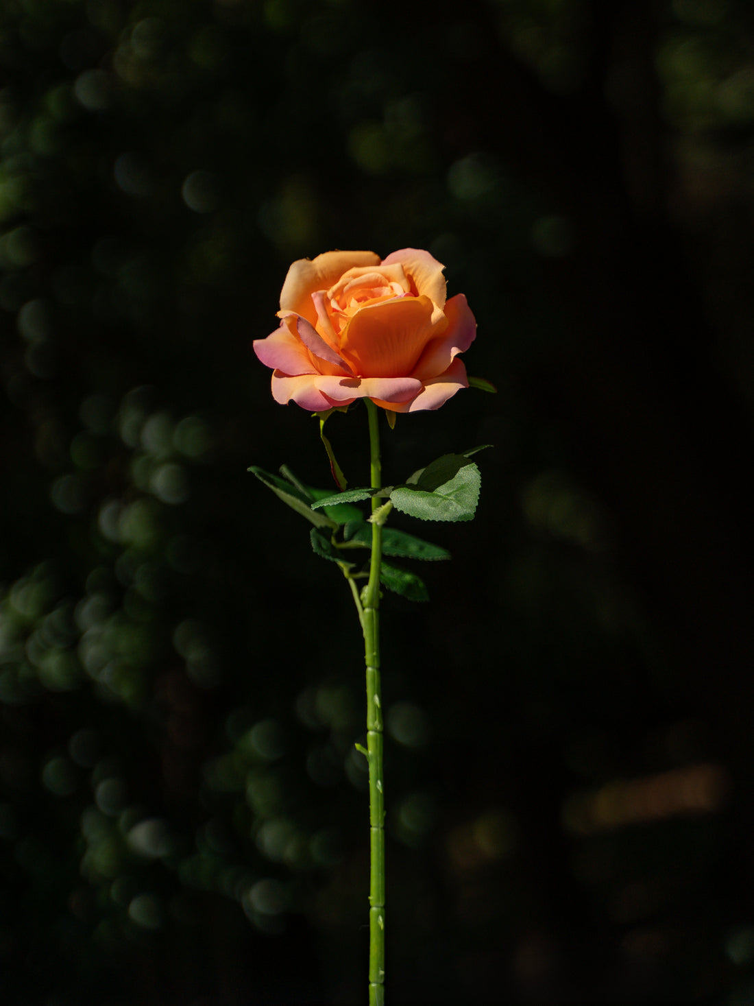 Fully Bloomed Rose (Rainbow Yellow)-18&quot; Tall