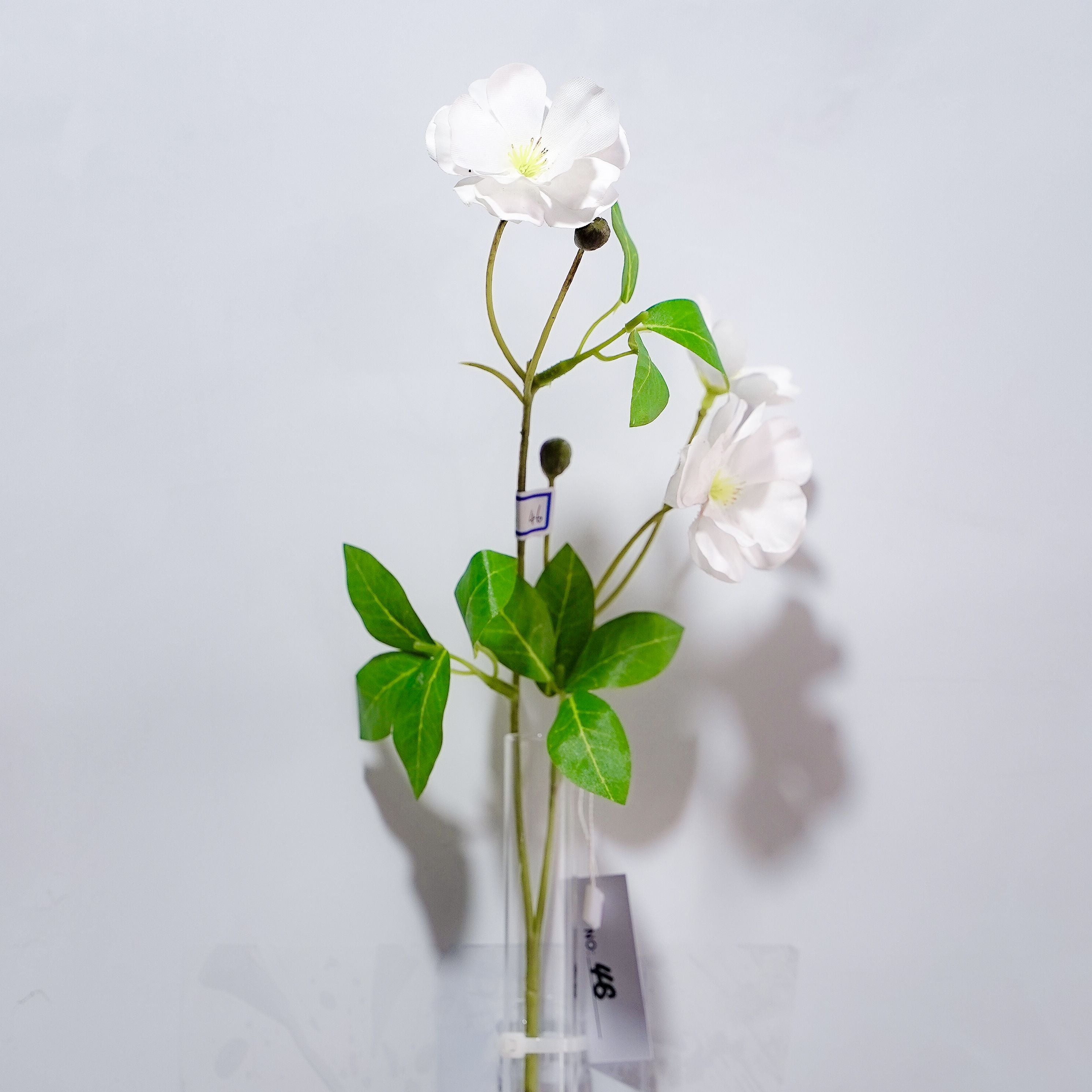 White Butterfly Orchid with Lotus Flower Rose Morning