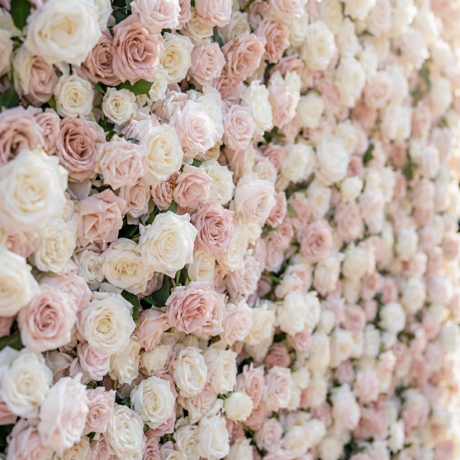 Caius: Luxury 5D Cream &amp; Blush Silk Floral Wall Roll-Up Fabric Backdrop for Dreamy Garden Weddings &amp; Bridal Showers