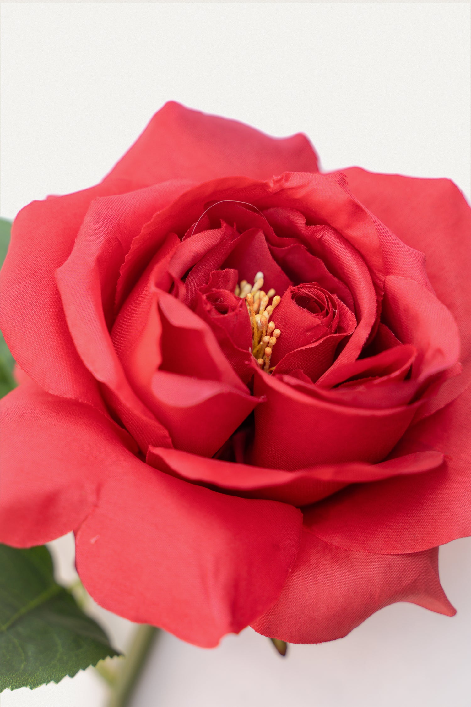 Double Core Garden Rose (Red)-11.2&quot; Tall