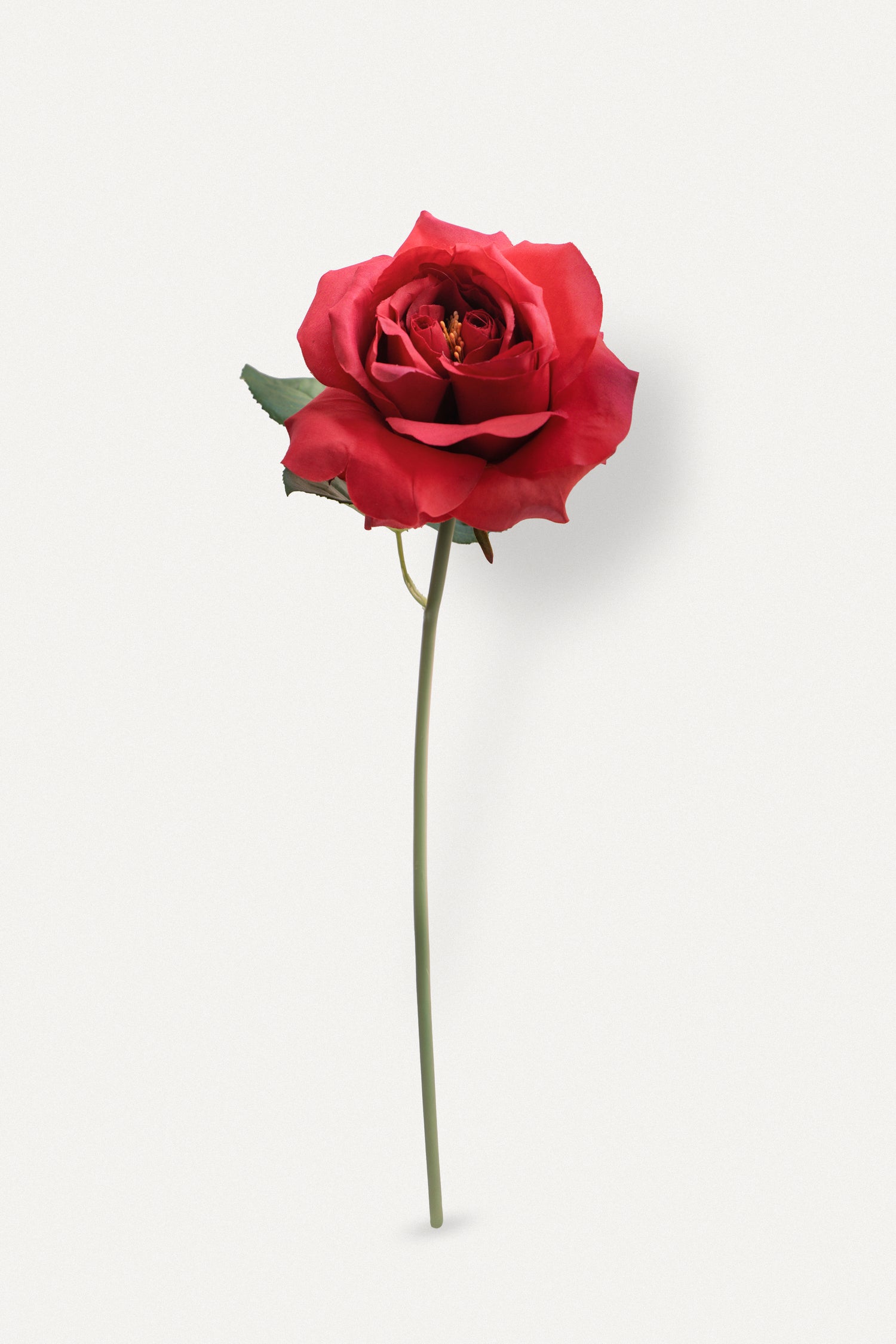 Double Core Garden Rose (Red)-11.2&quot; Tall