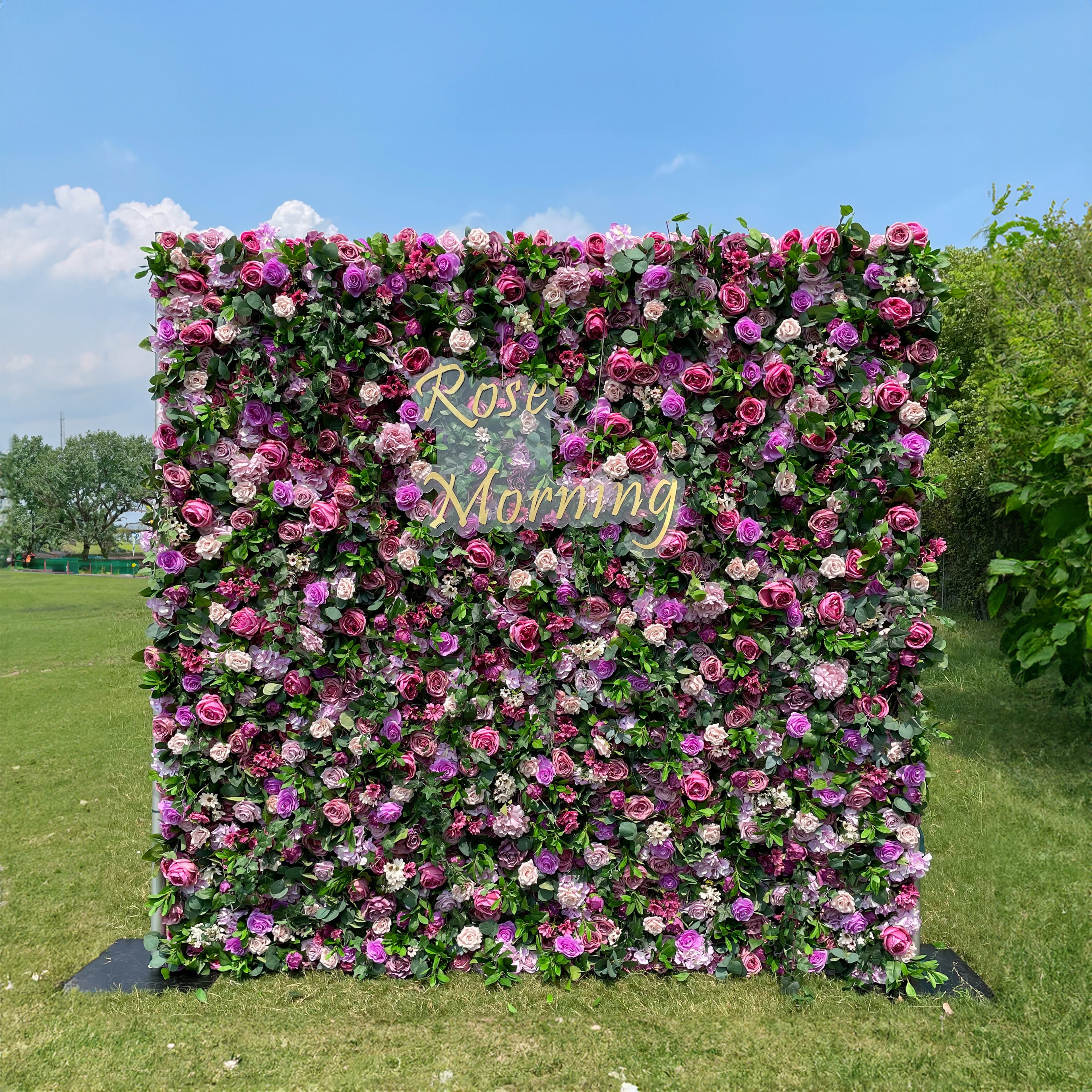 May：3D Fabric Artificial rolling up curtain flower wall Rose Morning