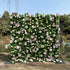Tess：2D Fabric Artificial zip up curtain flower wall 8ft*8ft Rose Morning