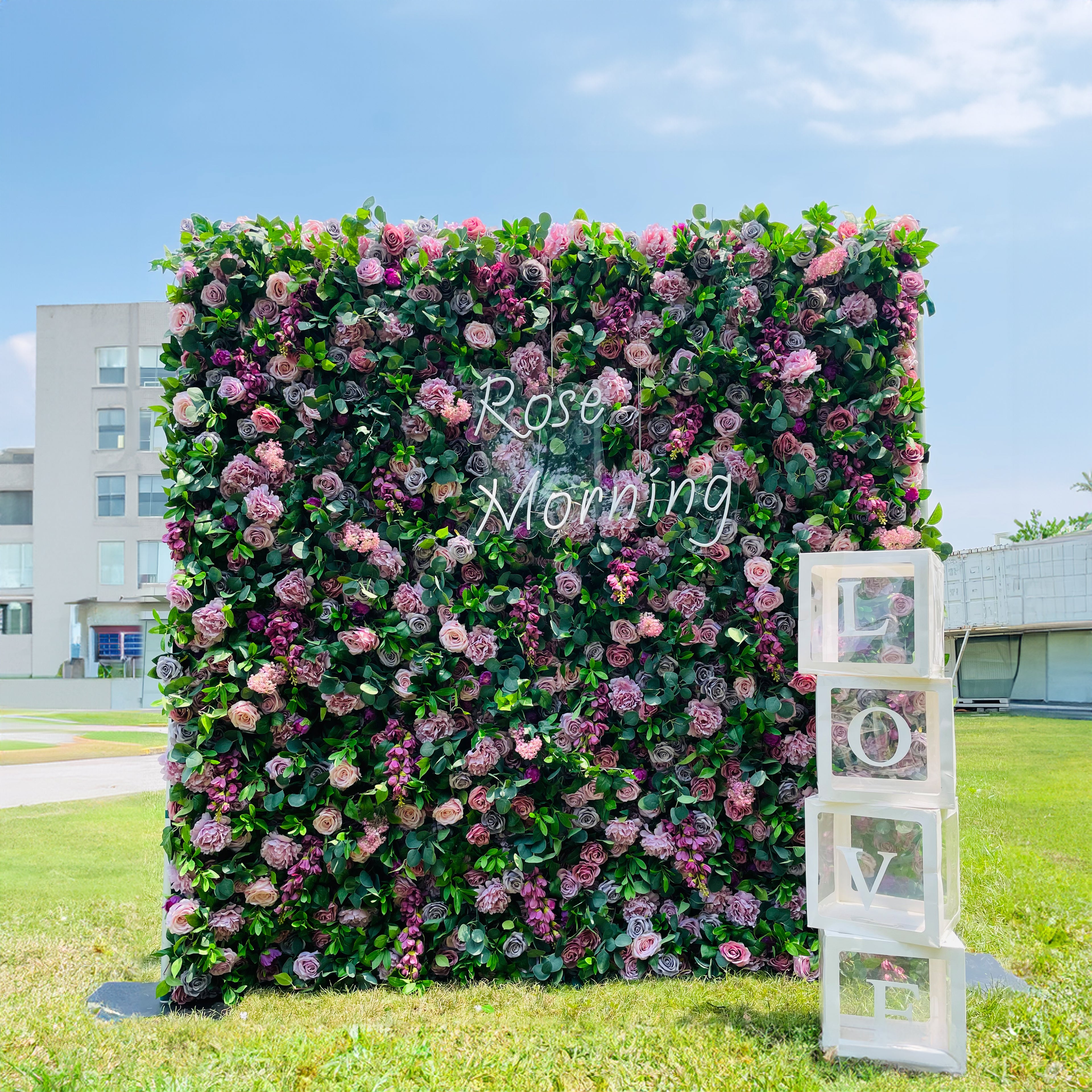 Autumn：5D Fabric Artificial rolling up curtain flower wall Rose Morning