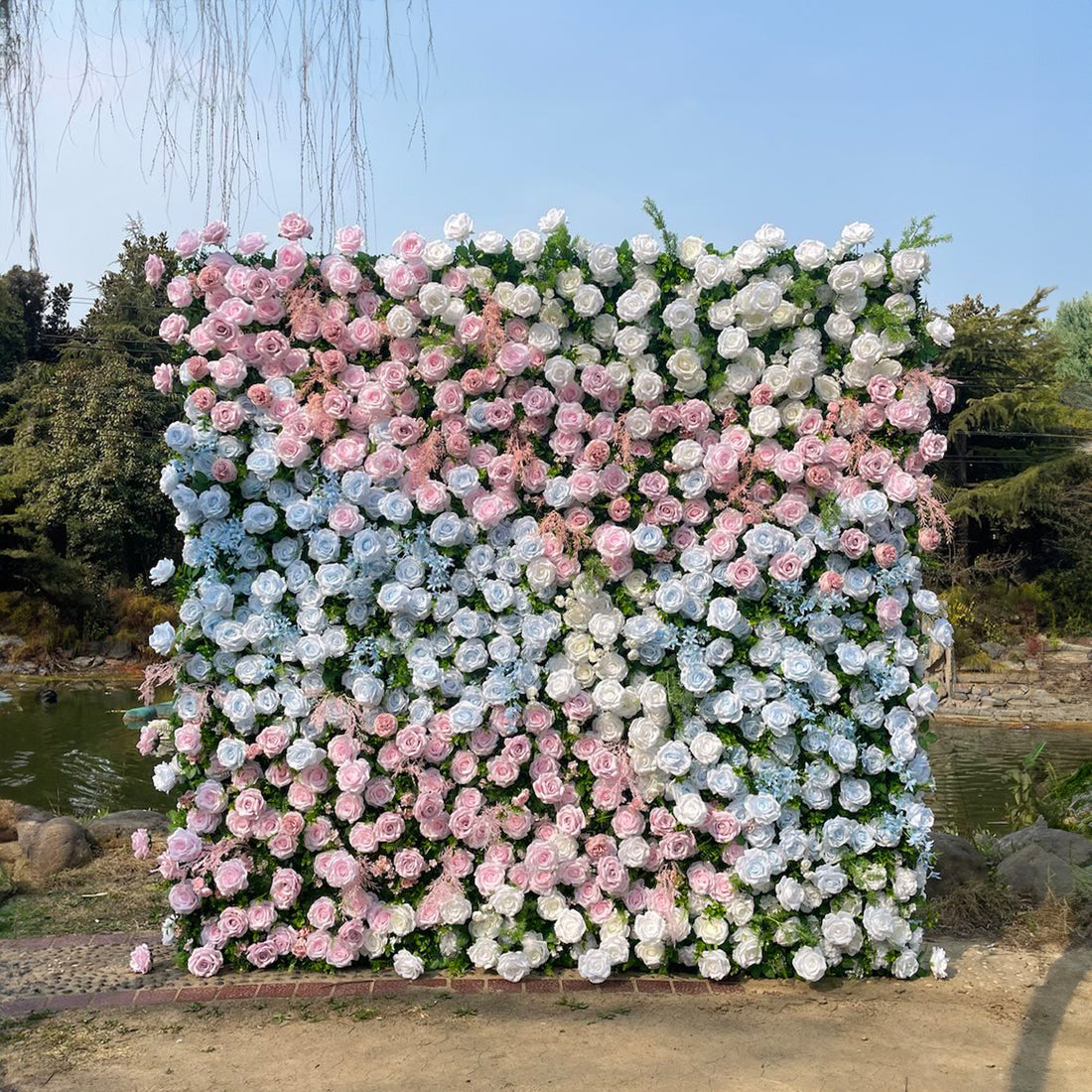Hope:5D Fabric Artificial rolling up curtain flower wall Rose Morning