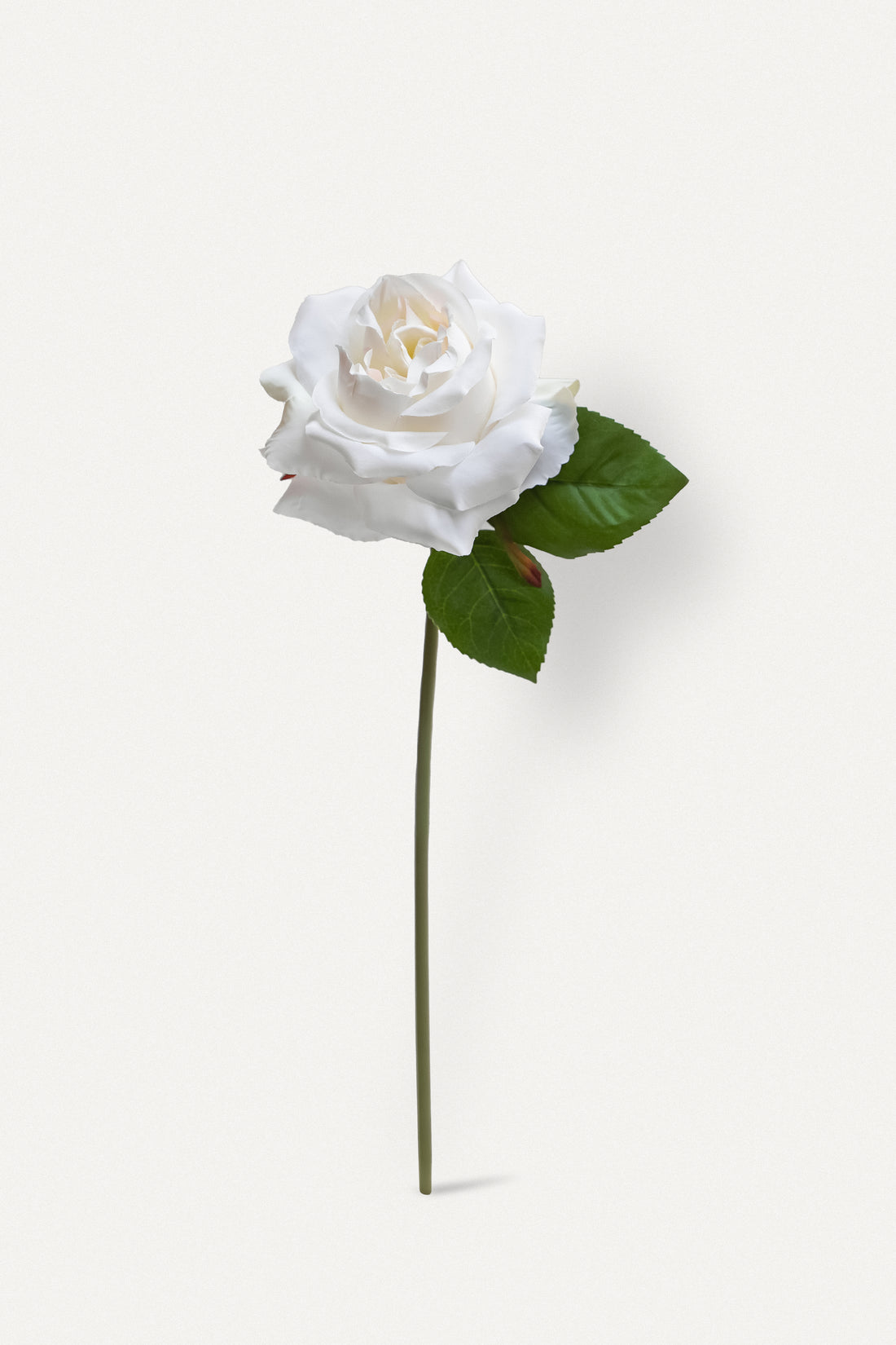 Double Core Garden Rose (White)-11.2" Tall