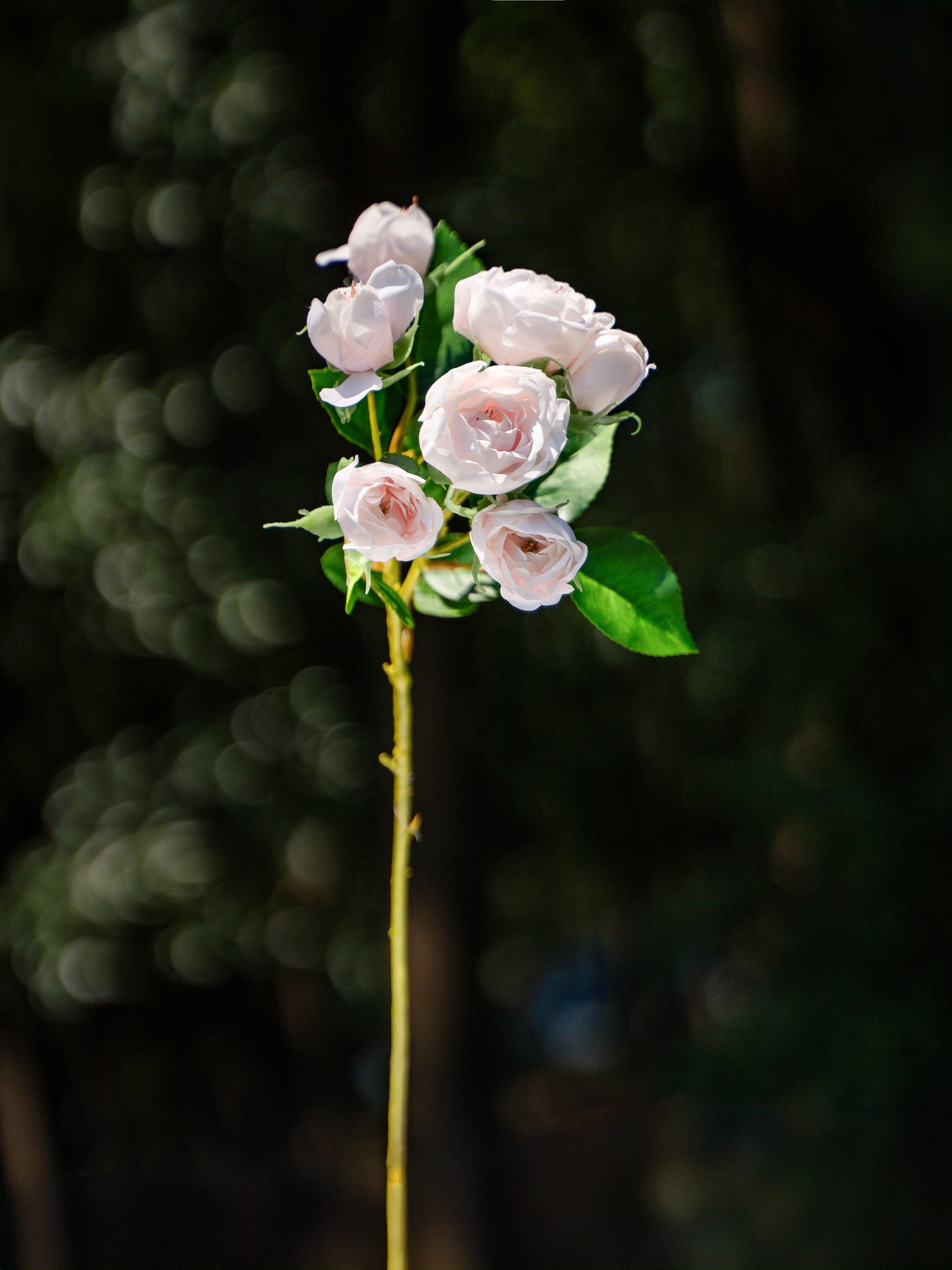 7-headed Spray Rose (Pink)-11.8" Tall