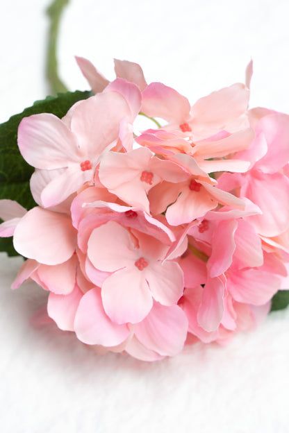 Single-headed Hydrangea (Pink)-18&quot; Tall