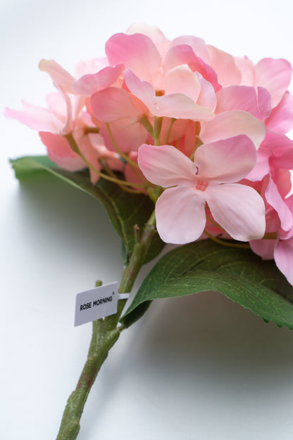 Single-headed Hydrangea (Pink)-18&quot; Tall