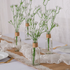 Gypsophila is a very beautiful and versatile flower that can be used to create a wide variety of beautiful decorations. If you are looking for a flower to decorate your wedding or holiday event, Gypsophila is a great choice.