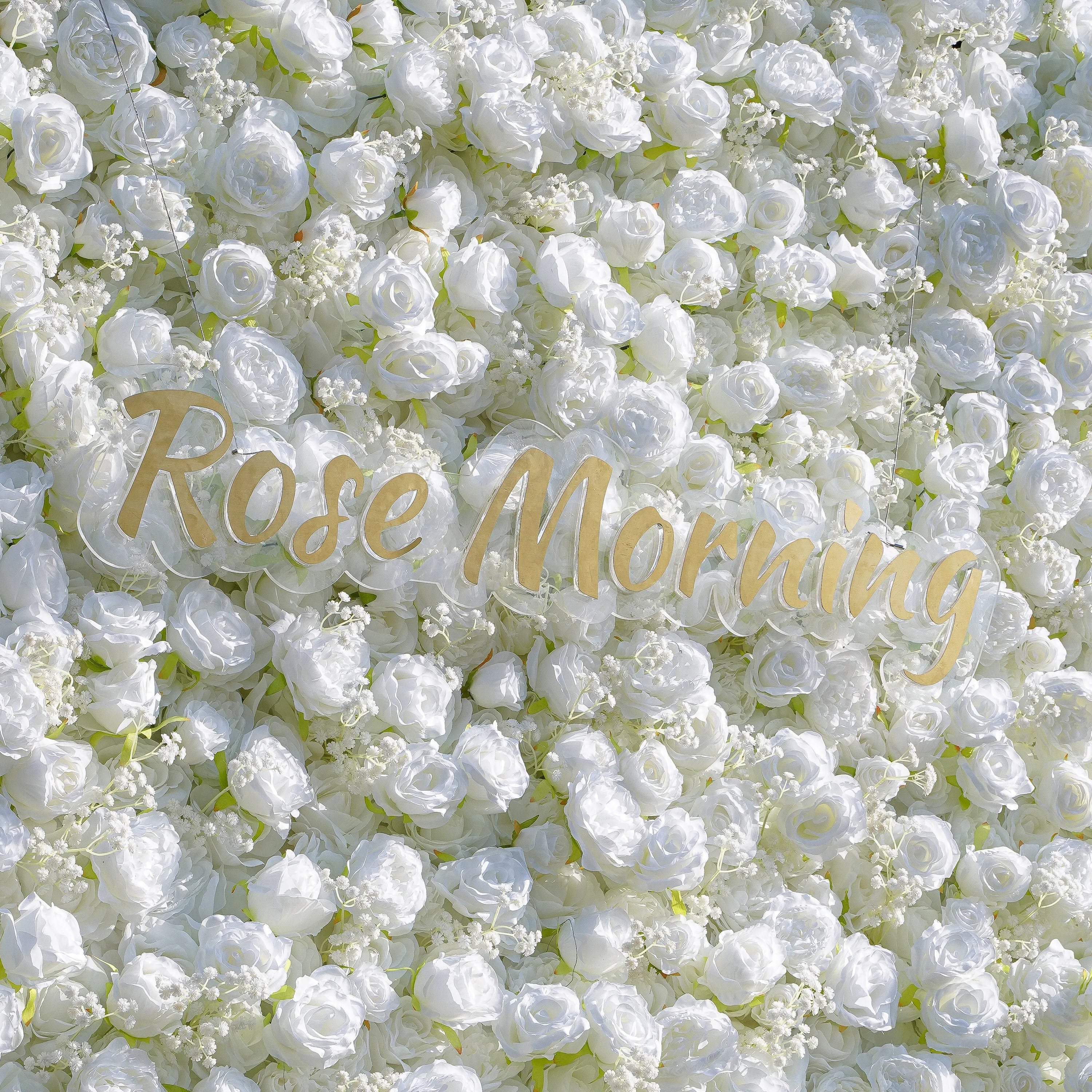 Breath：5D White Roses Fabric Artificial rolling up curtain flower wall (Ready to Ship)