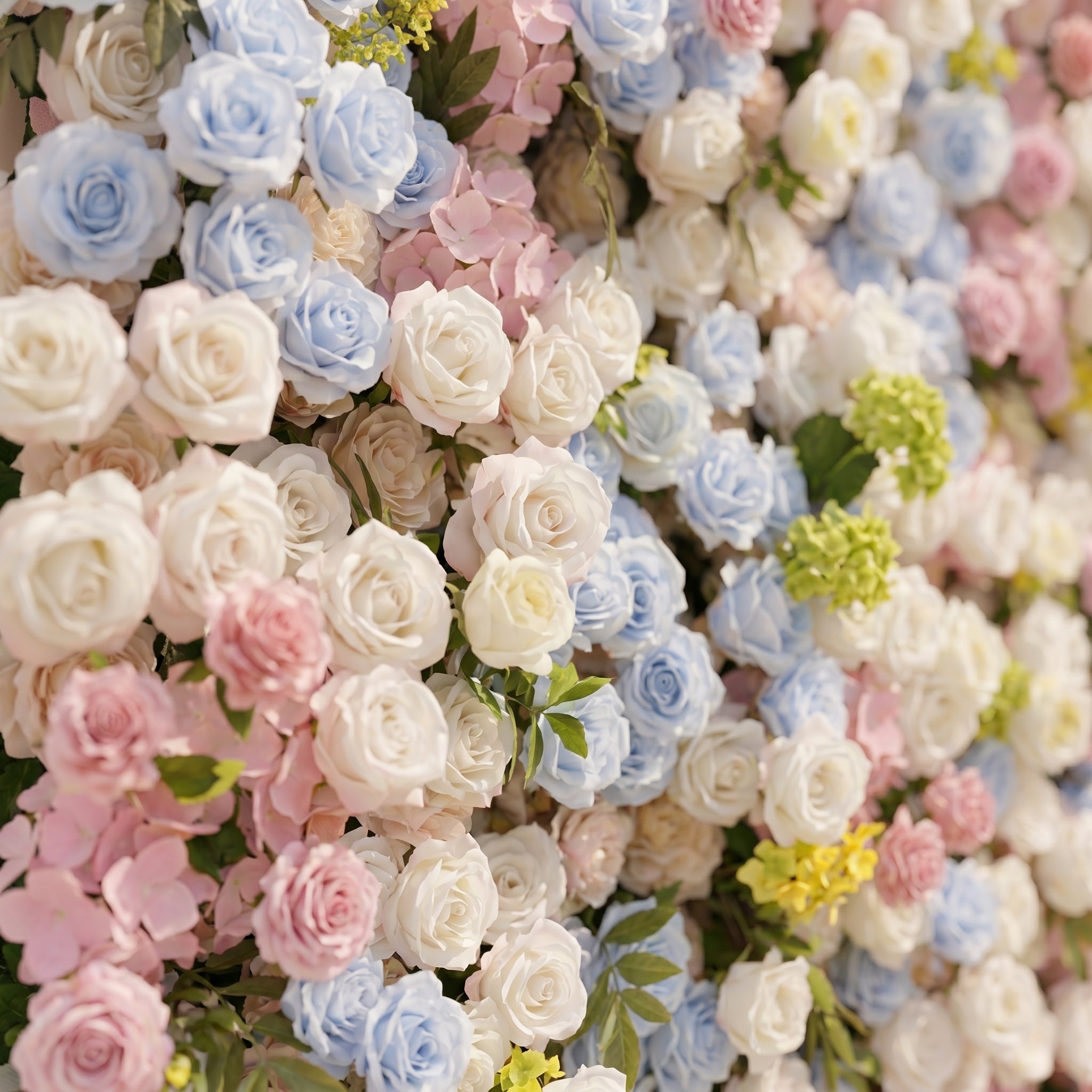Calora:5D Dusty Blue, Blush Pink &amp; Ivory White Silk Rose Flower Wall Roll-Up Fabric Backdrop for Romantic Weddings &amp; Proposals