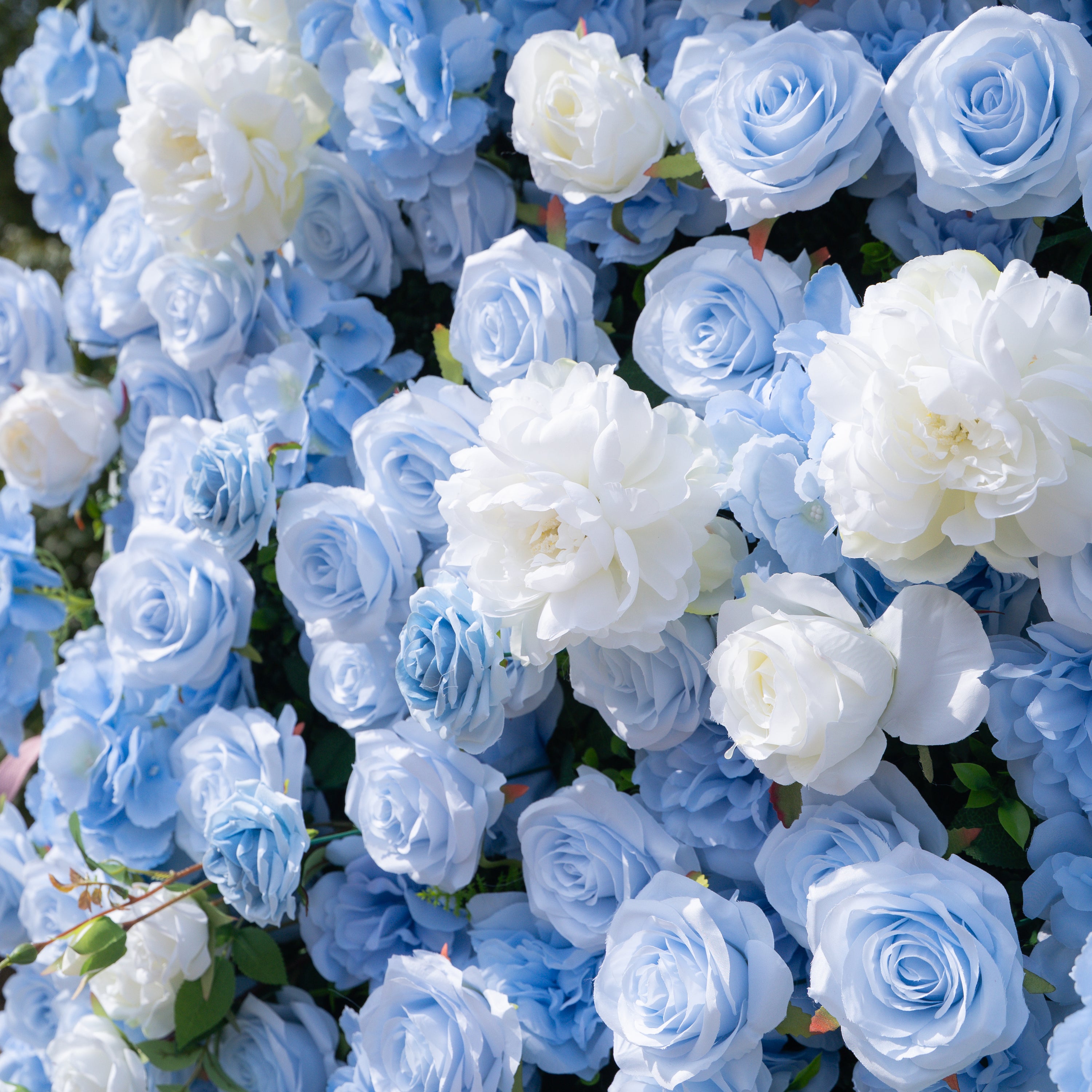 Clarissa：3D Fabric Artificial rolling up curtain flower wall