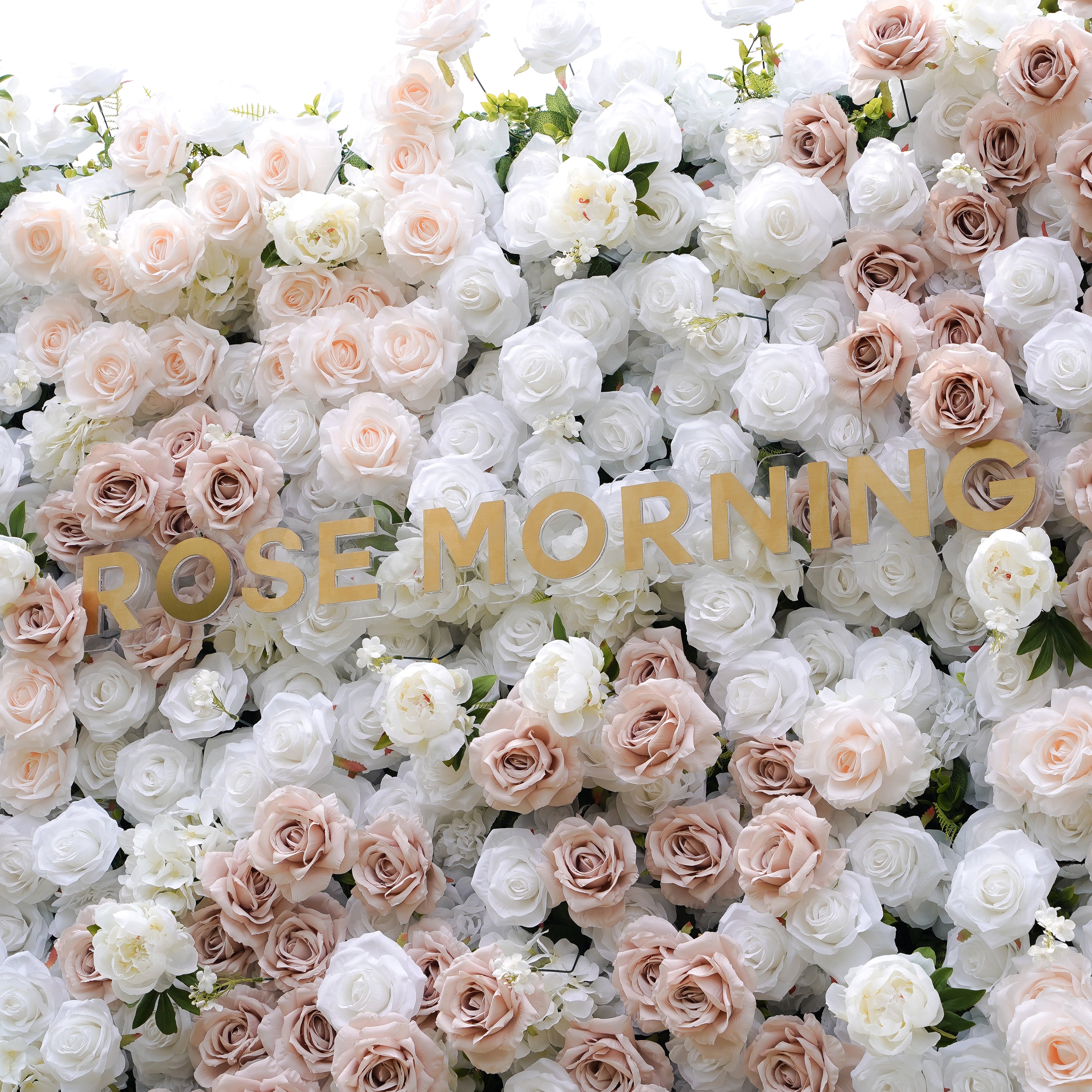 Corrine：5D Fabric Artificial rolling up curtain flower wall Rose Morning