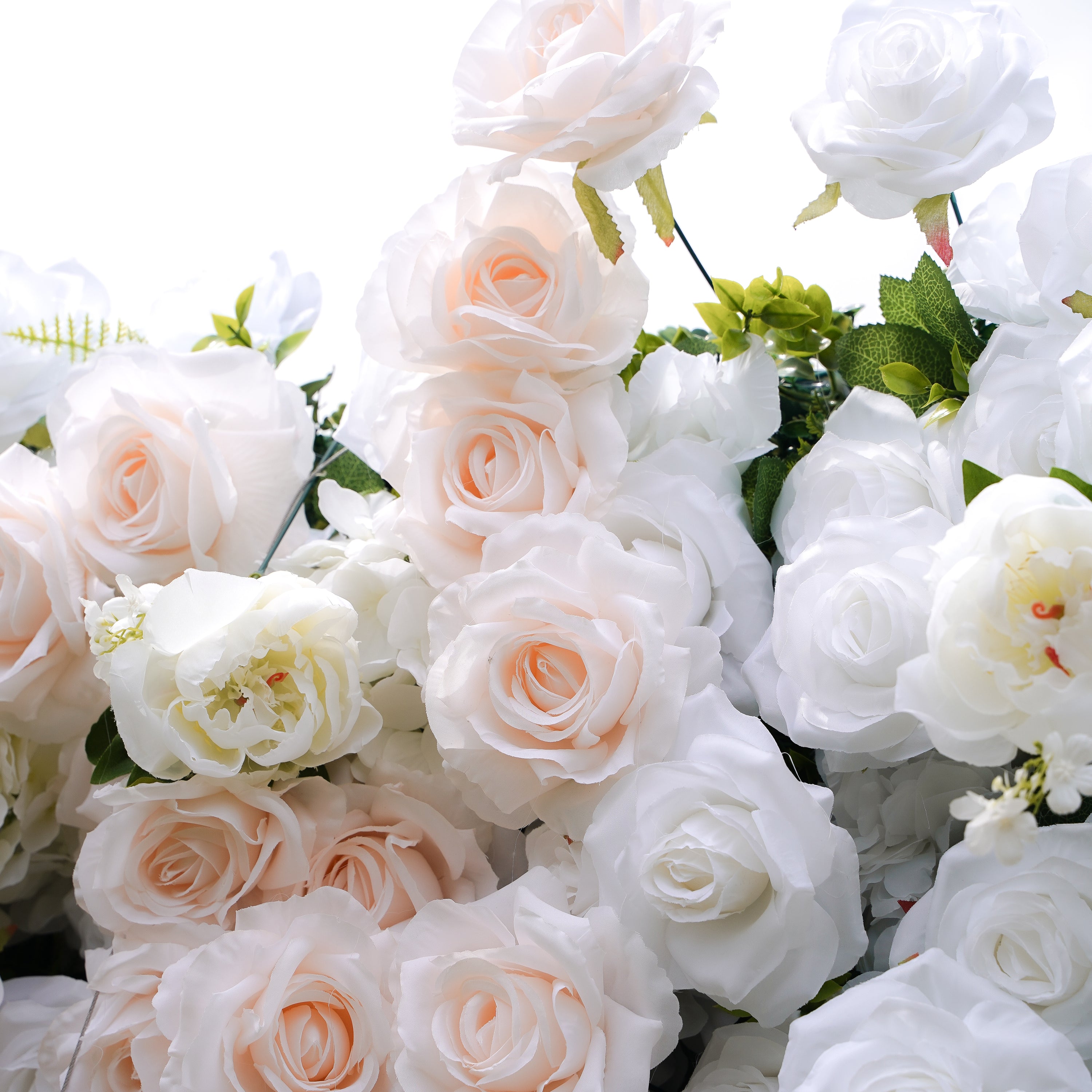 Corrine：5D Fabric Artificial rolling up curtain flower wall Rose Morning