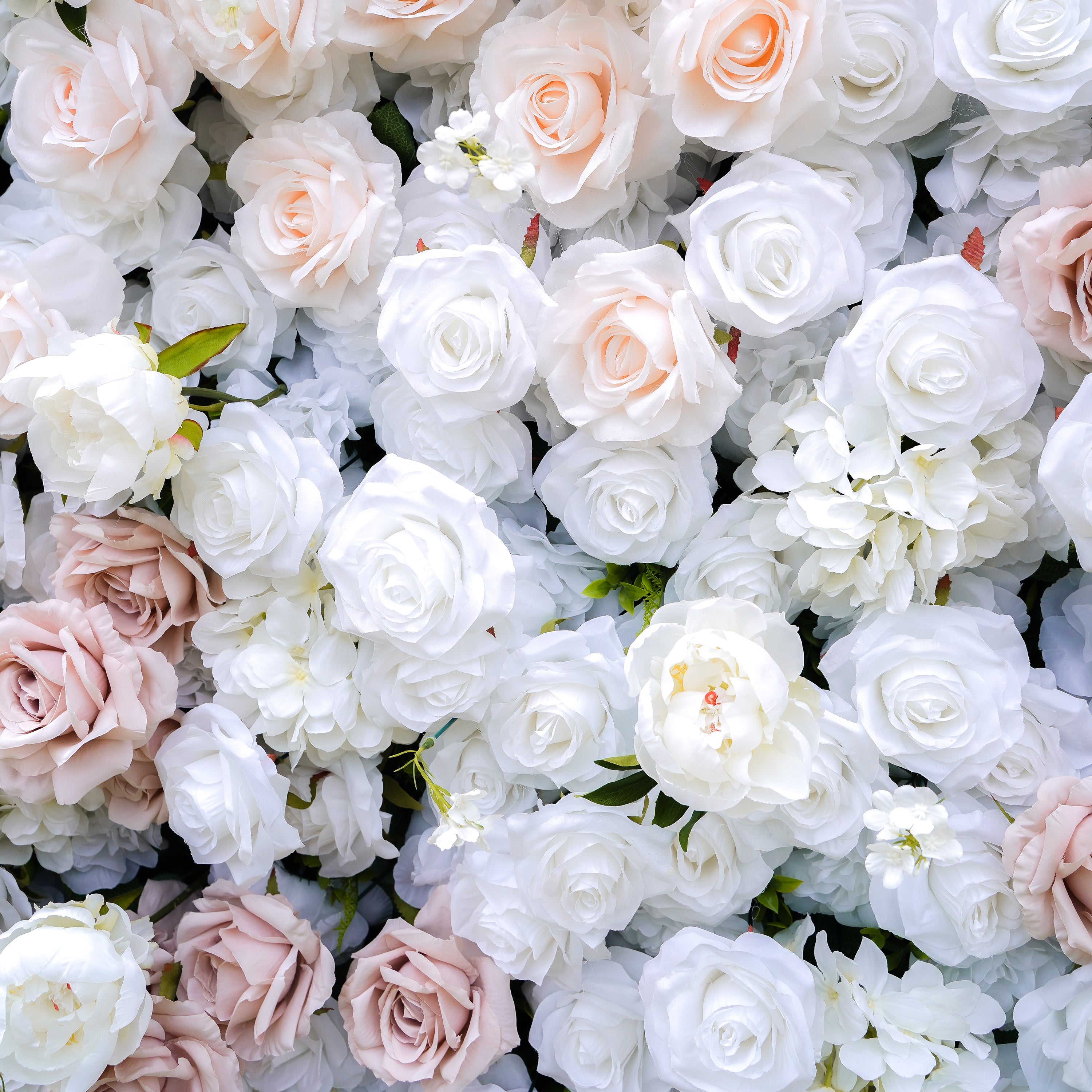 Corrine：5D Fabric Artificial rolling up curtain flower wall Rose Morning