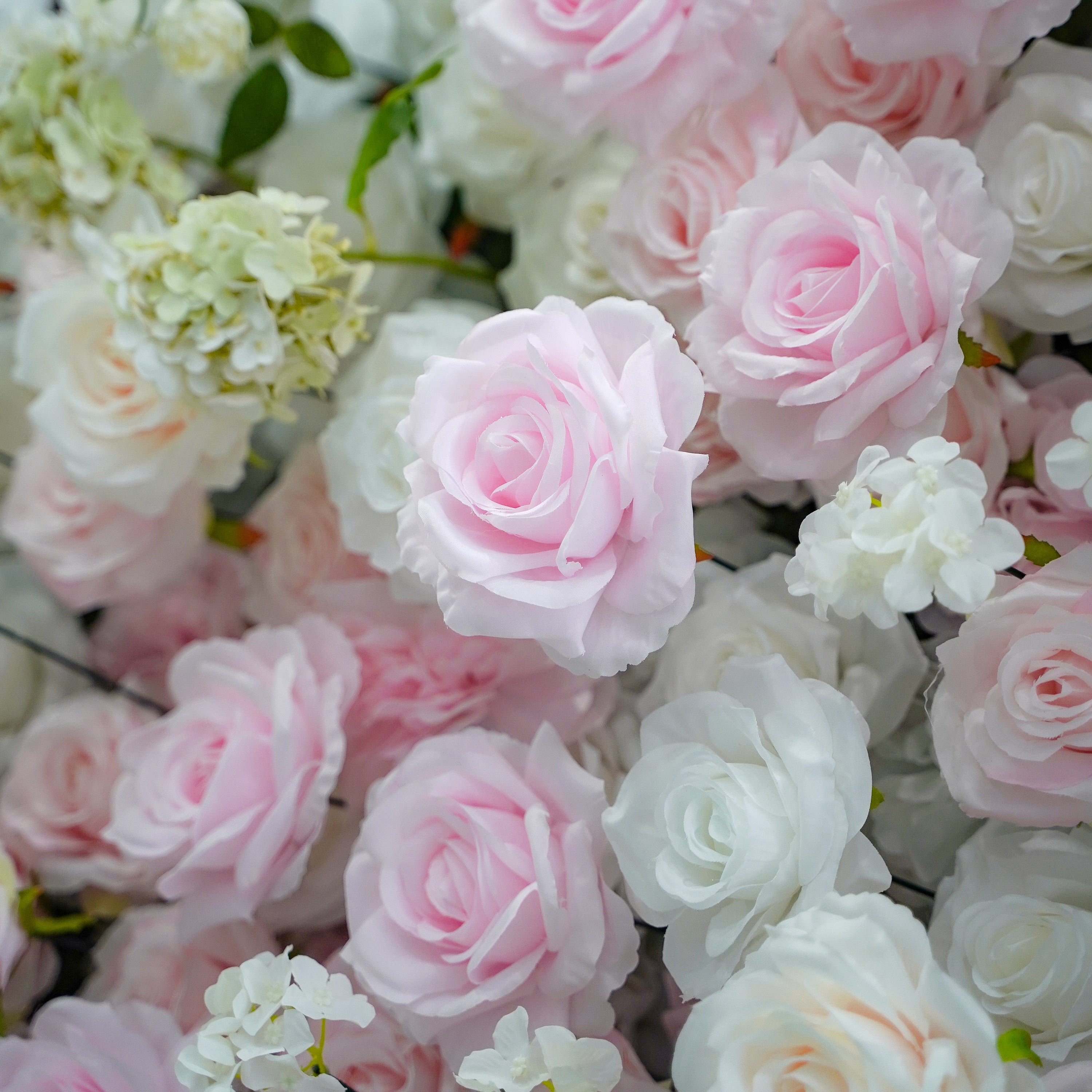 Leona：5D Fabric Artificial rolling up curtain flower wall Rose Morning