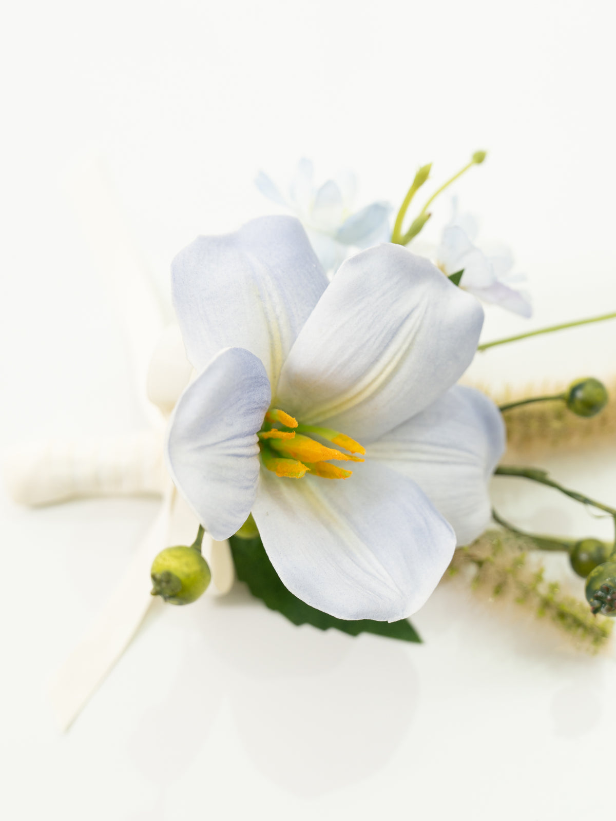 Elegant Tulips Bristlegrass Groom&