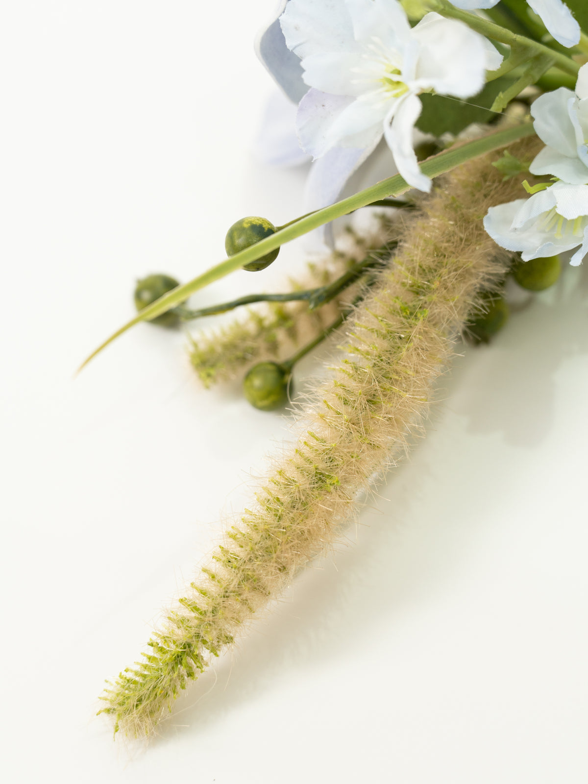 Elegant Tulips Bristlegrass Groom&