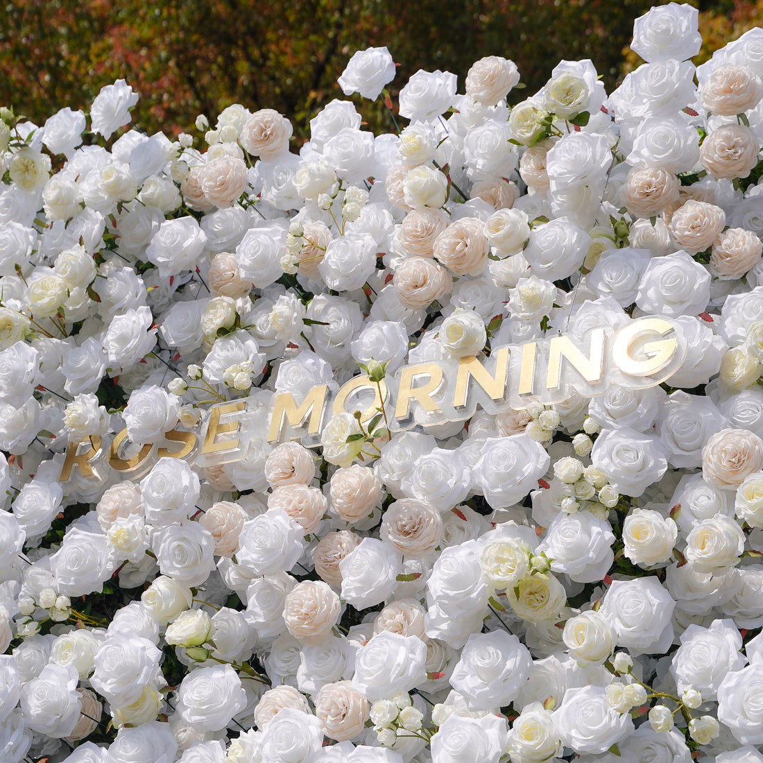 BenBen：5D Fabric Artificial rolling up curtain flower wall Rose Morning
