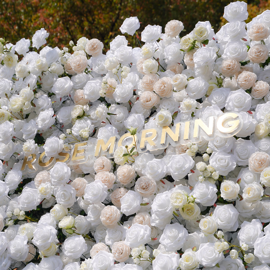 BenBen:5D Fabric Artificial rolling up curtain flower wall Rose Morning