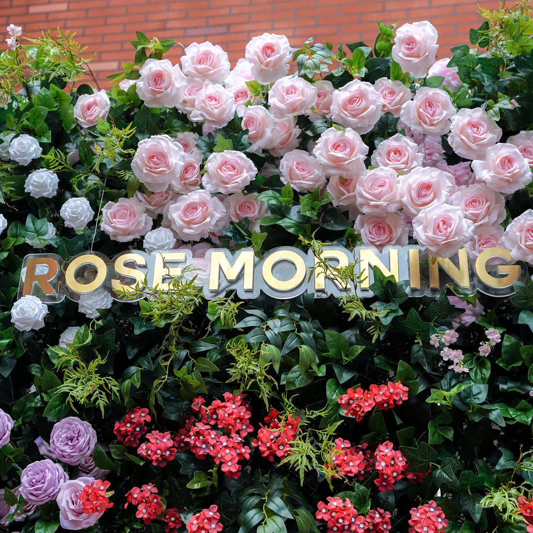 Vonnie:5D Fabric Artificial rolling up curtain flower wall Rose Morning