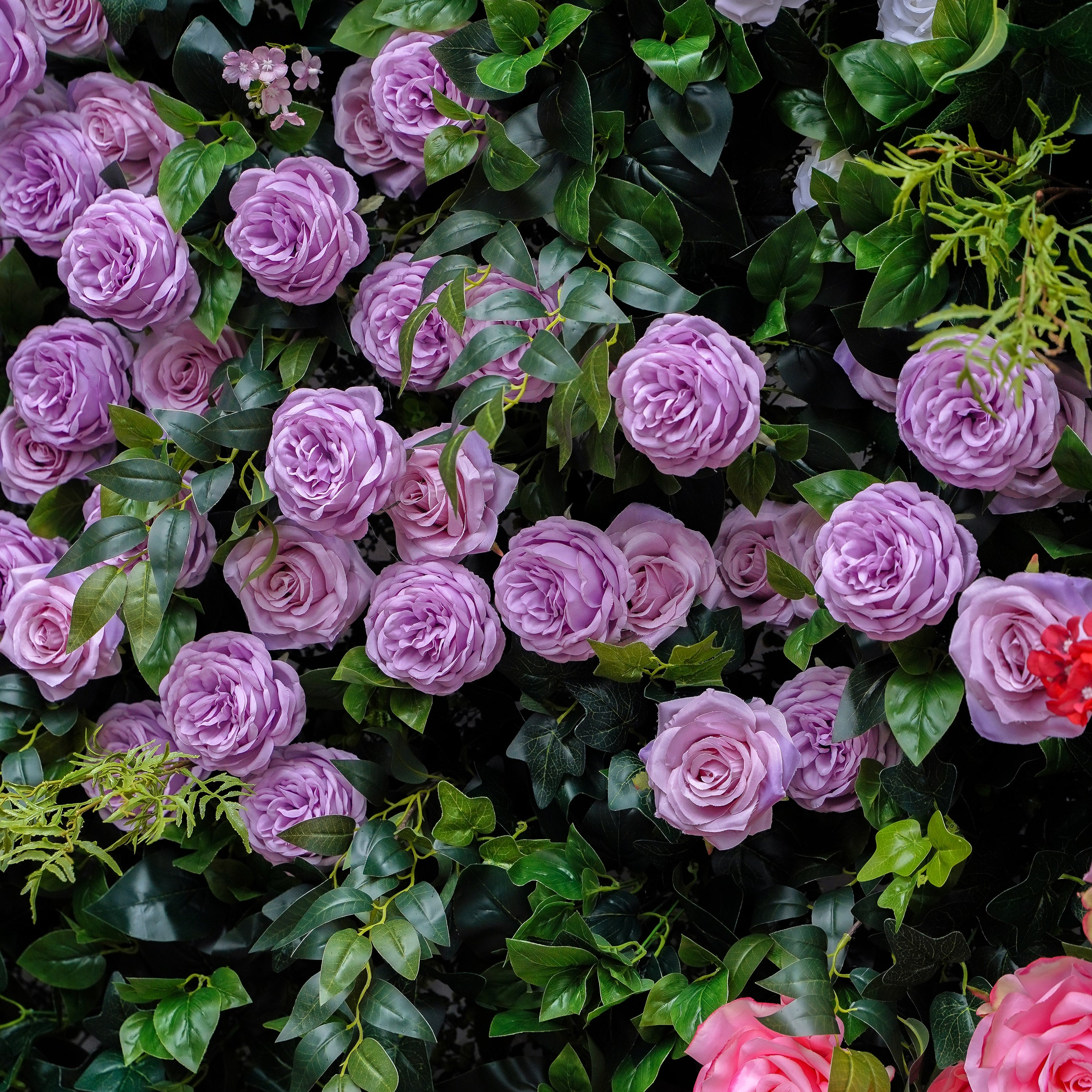 Vonnie：5D Fabric Artificial rolling up curtain flower wall Rose Morning