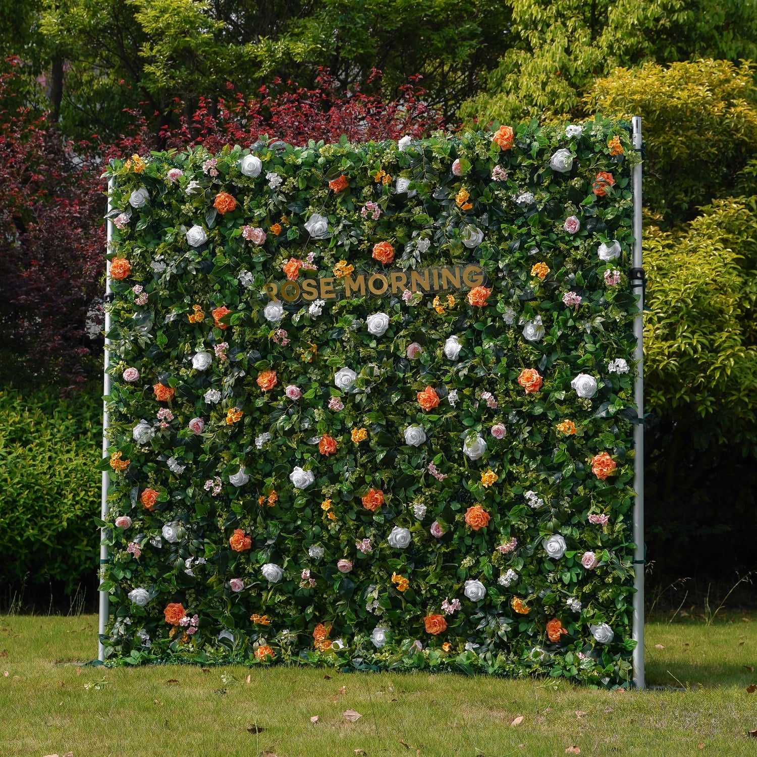 Star： Fabric Artificial zip up curtain flower wall 8ft*8ft (SHIP TO USA ONLY) Rose Morning