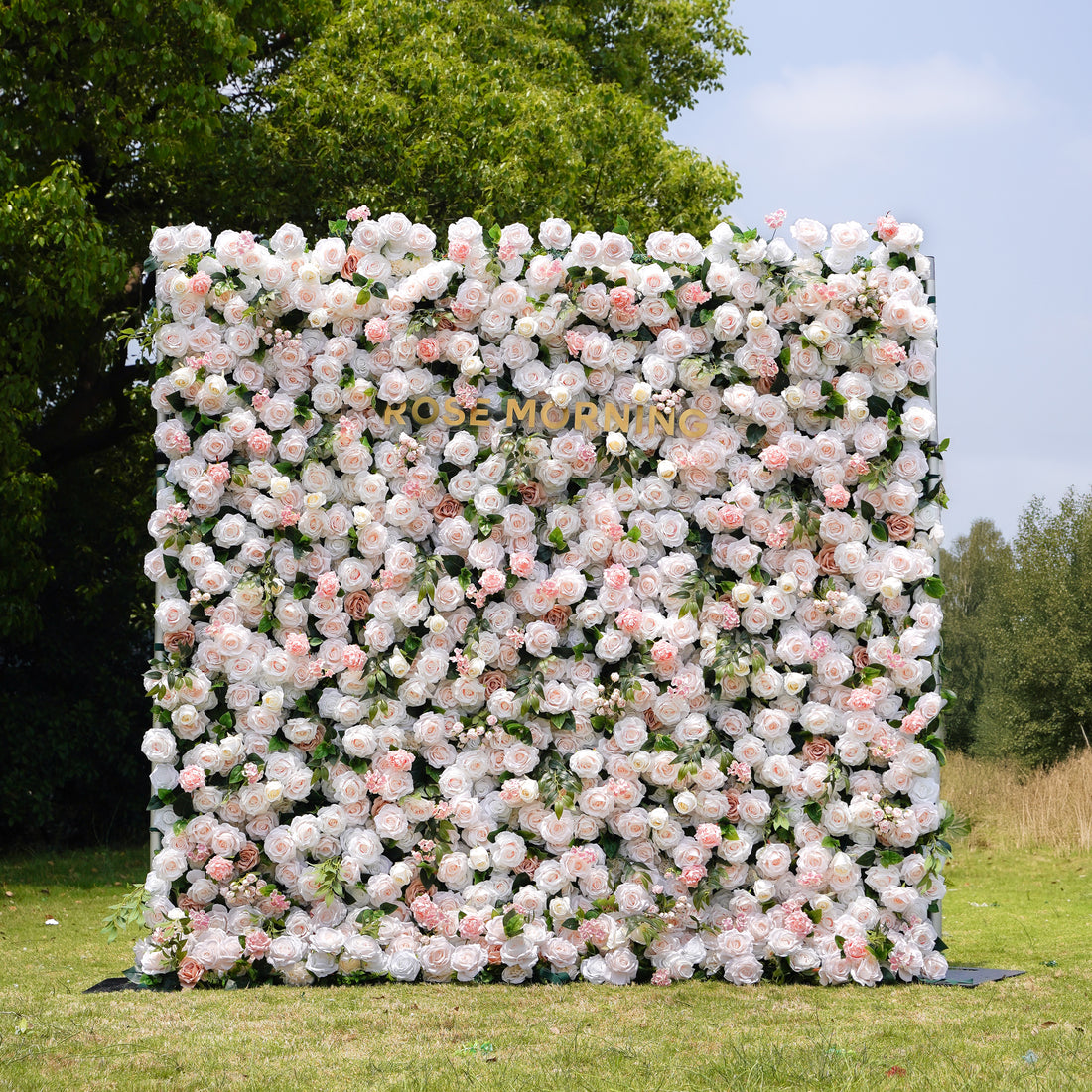 Martina：5D Fabric Artificial rolling up curtain flower wall Rose Morning