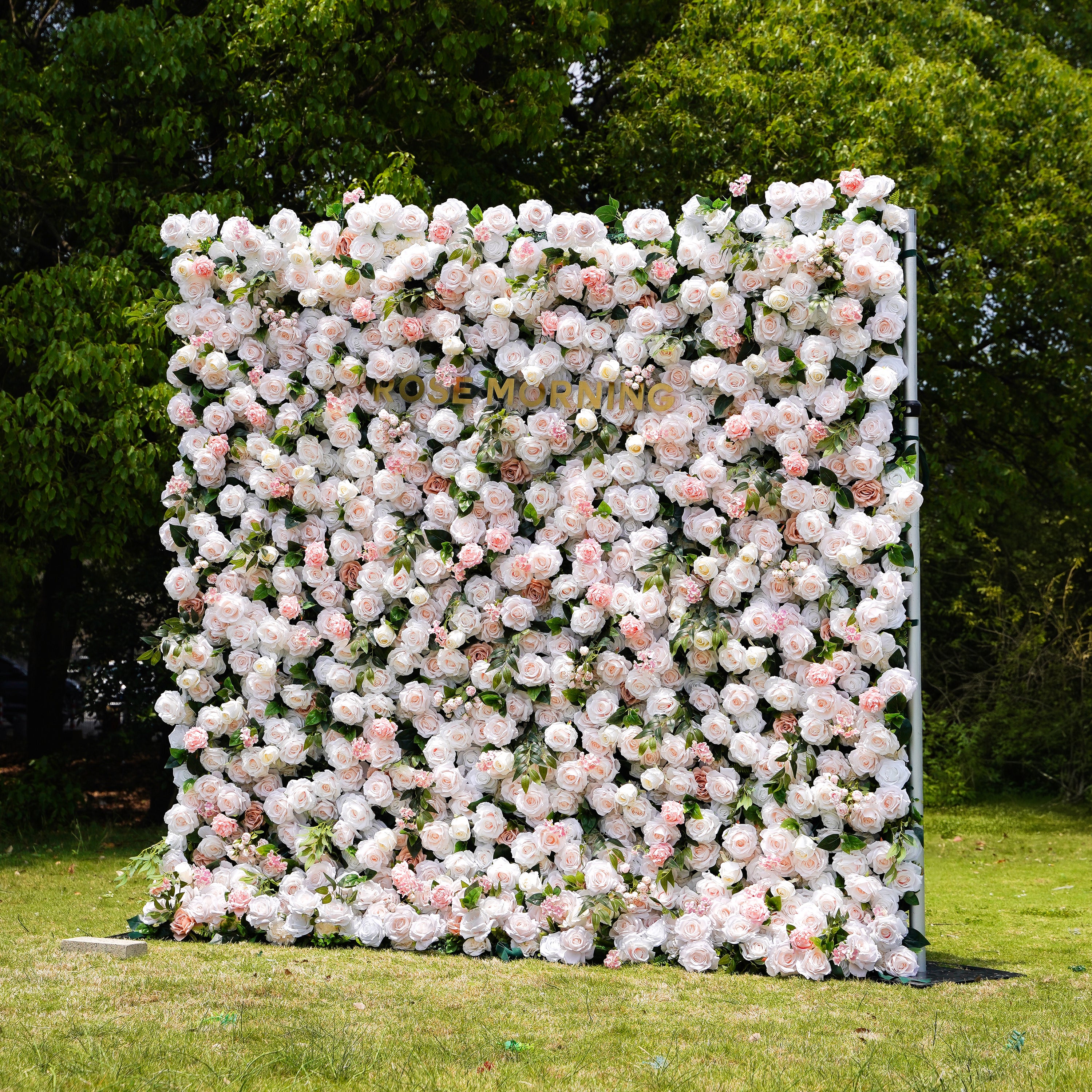 Martina：5D Fabric Artificial rolling up curtain flower wall Rose Morning