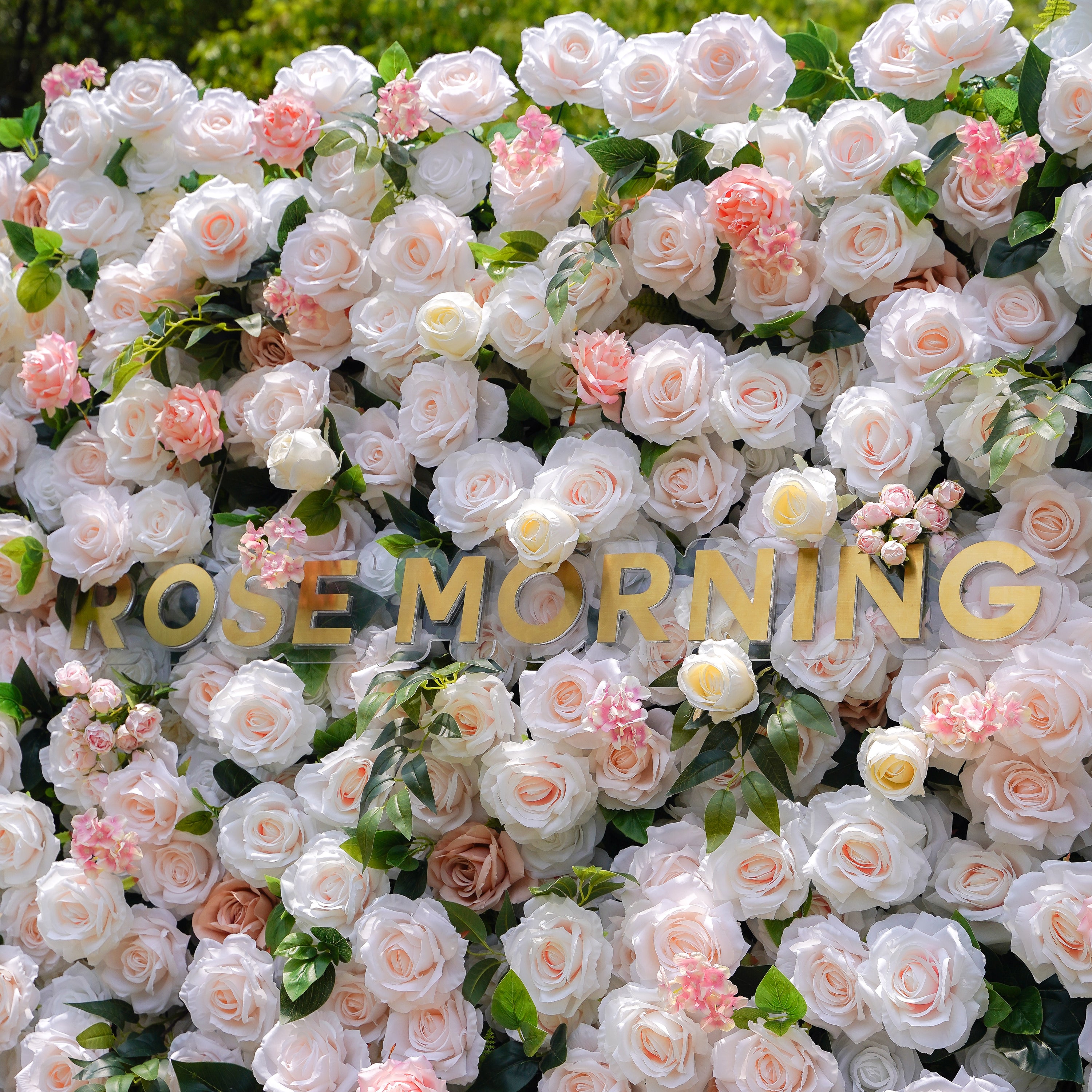 Martina：5D Fabric Artificial rolling up curtain flower wall Rose Morning