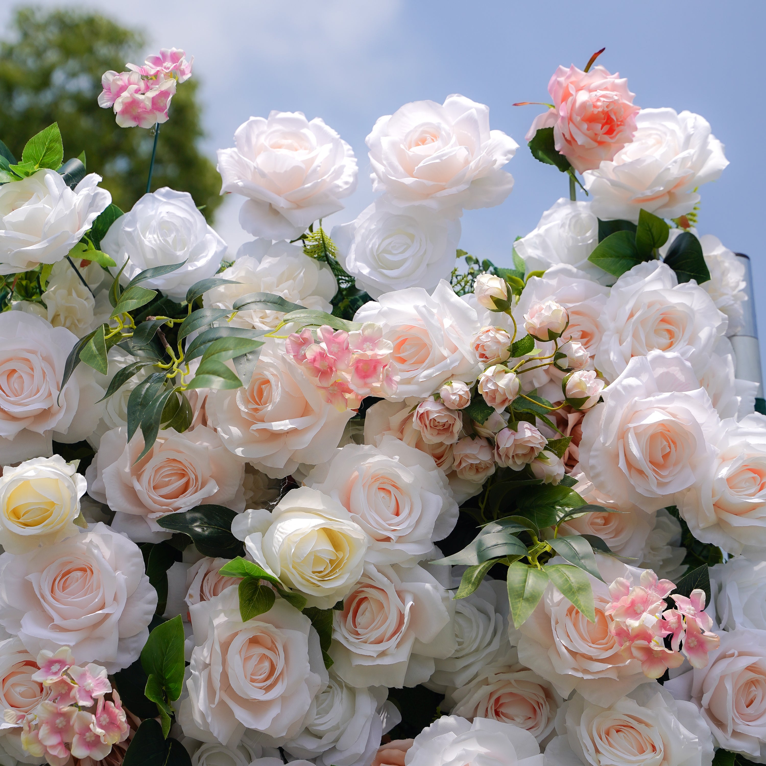 Martina：5D Fabric Artificial rolling up curtain flower wall Rose Morning