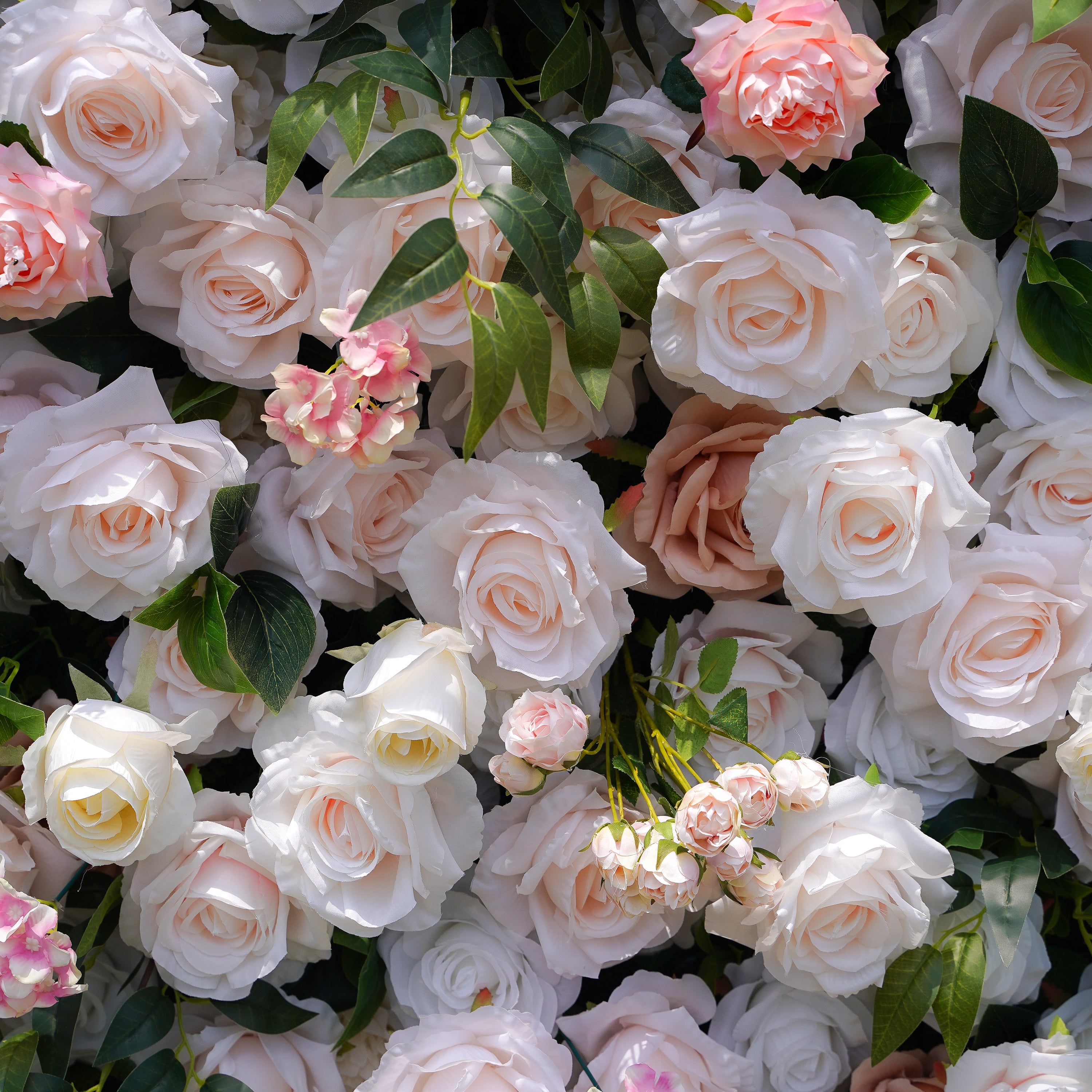 Martina：5D Fabric Artificial rolling up curtain flower wall Rose Morning