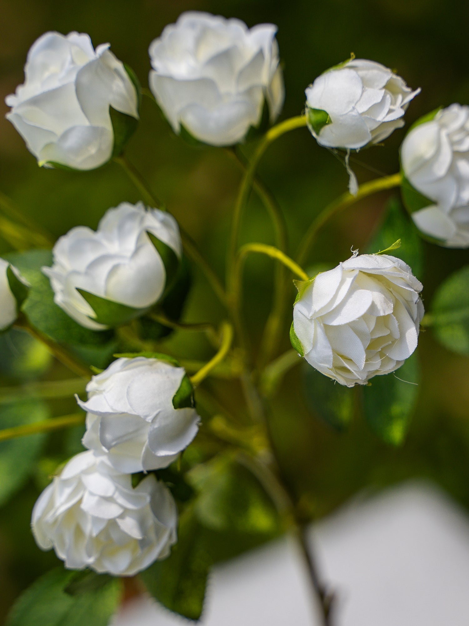 13-headed Spray Rose (White)-22&quot; Tall