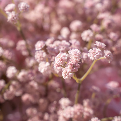 Pink Baby Breath：3D Fabric Artificial rolling up curtain flower wall