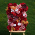 The flower walls are made of artificial flowers in various colors, layered at different levels to create a lush, elegant and natural look. The exclusive zipper design and roll-up design make it easy to install and remove.