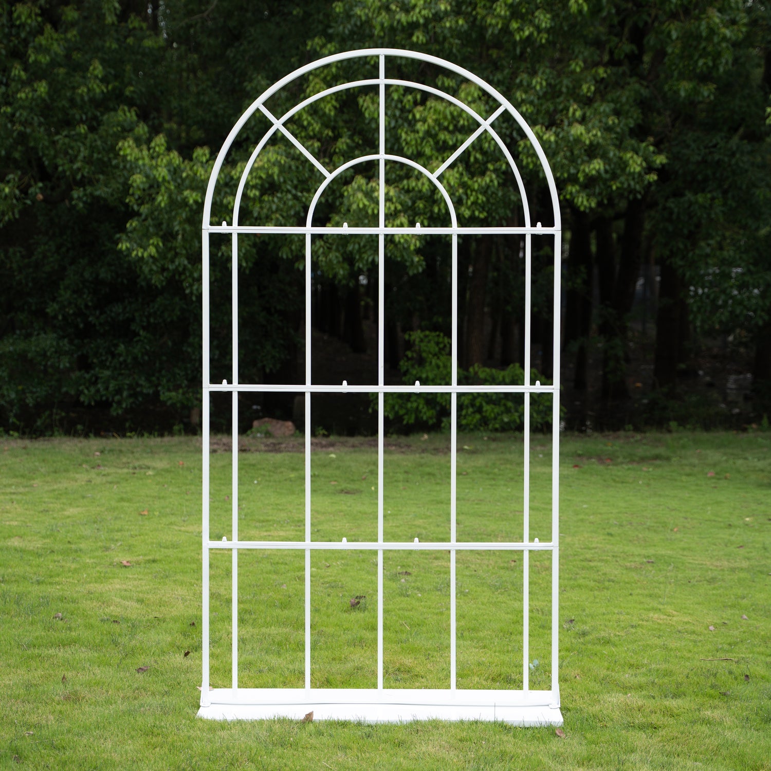 Ribbon：Wedding Party Background Floral Arch Decoration (Including Frame)