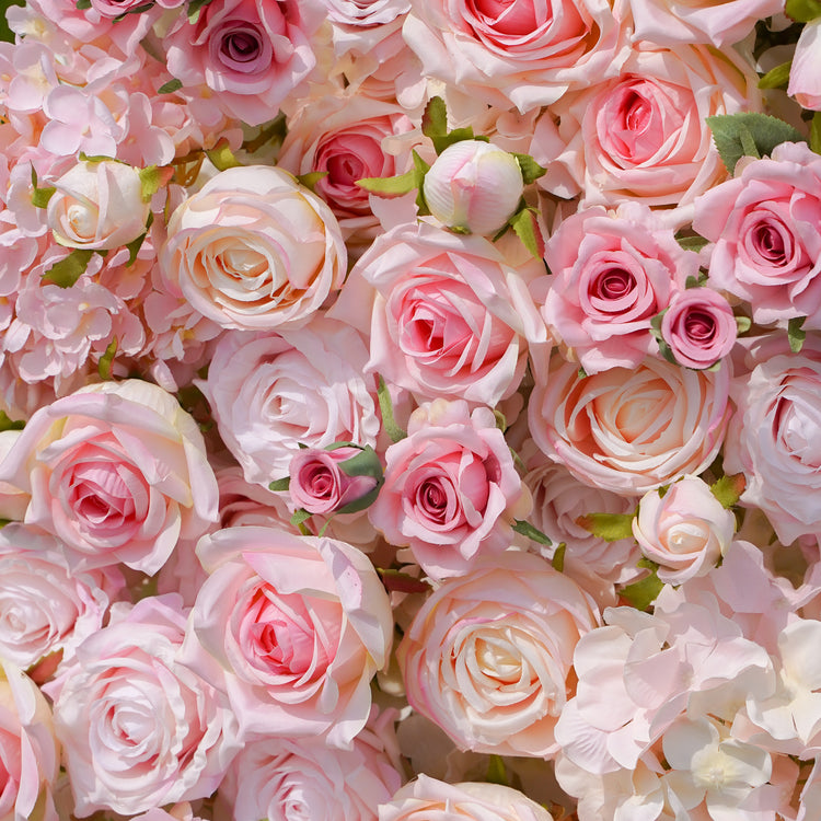 Flower Walls Rose Morning