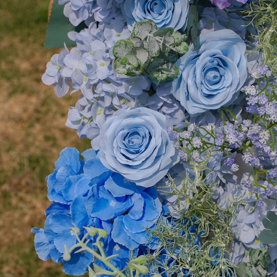 Flower Walls Rose Morning