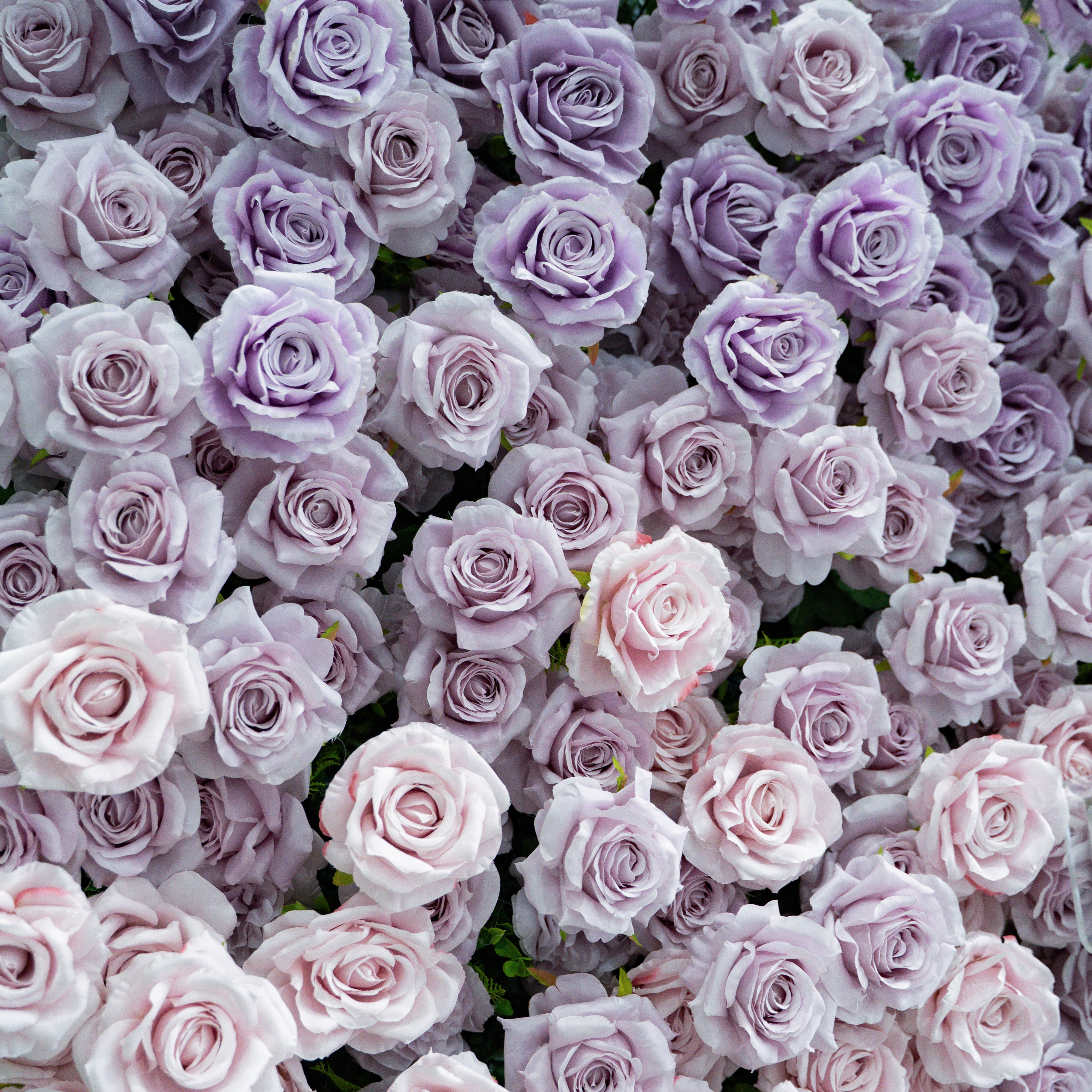 Michelle：3D Fabric Artificial rolling up curtain flower wall
