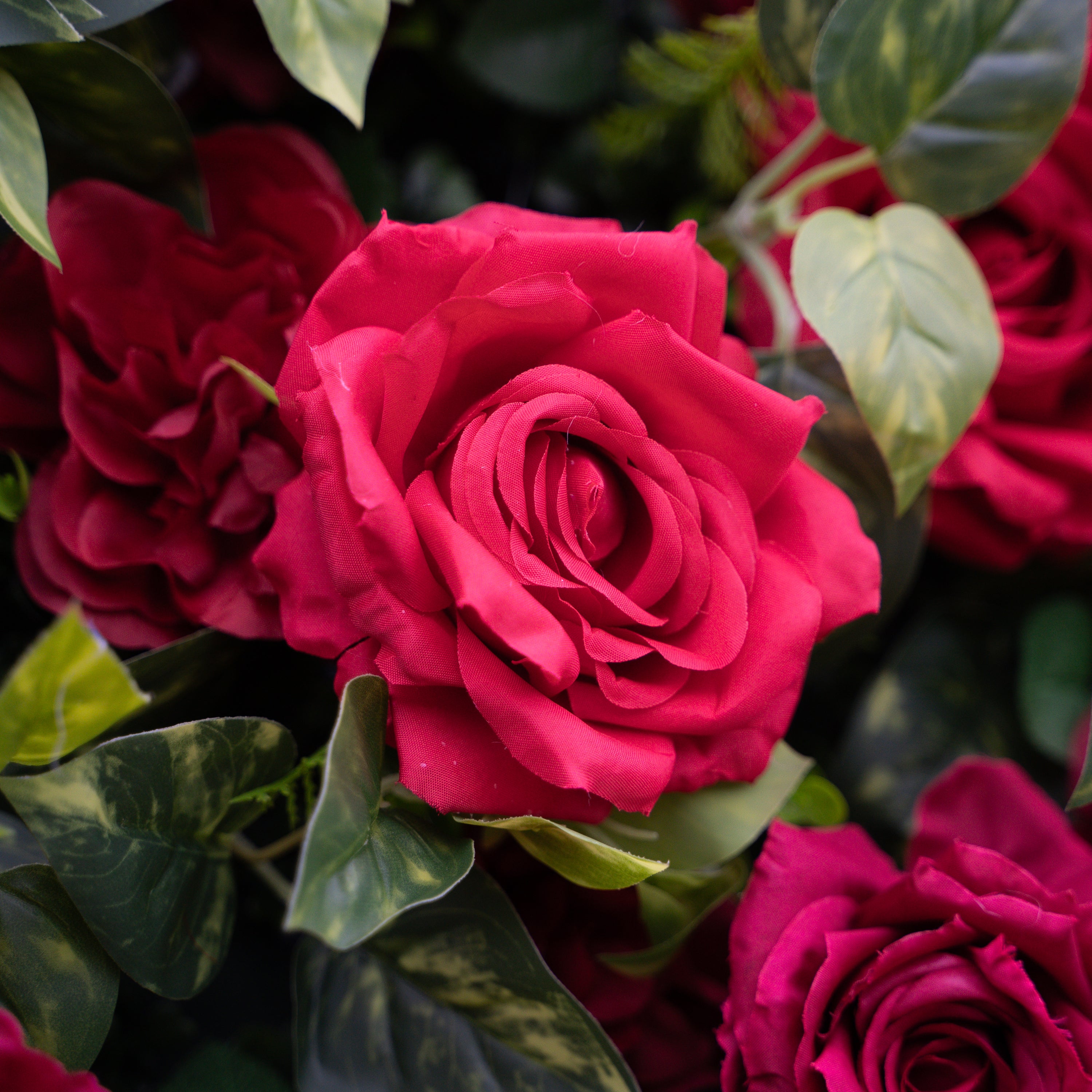 Rouge：3D Fabric Artificial rolling up curtain flower wall (In US Stock5-7 Days Delivered)