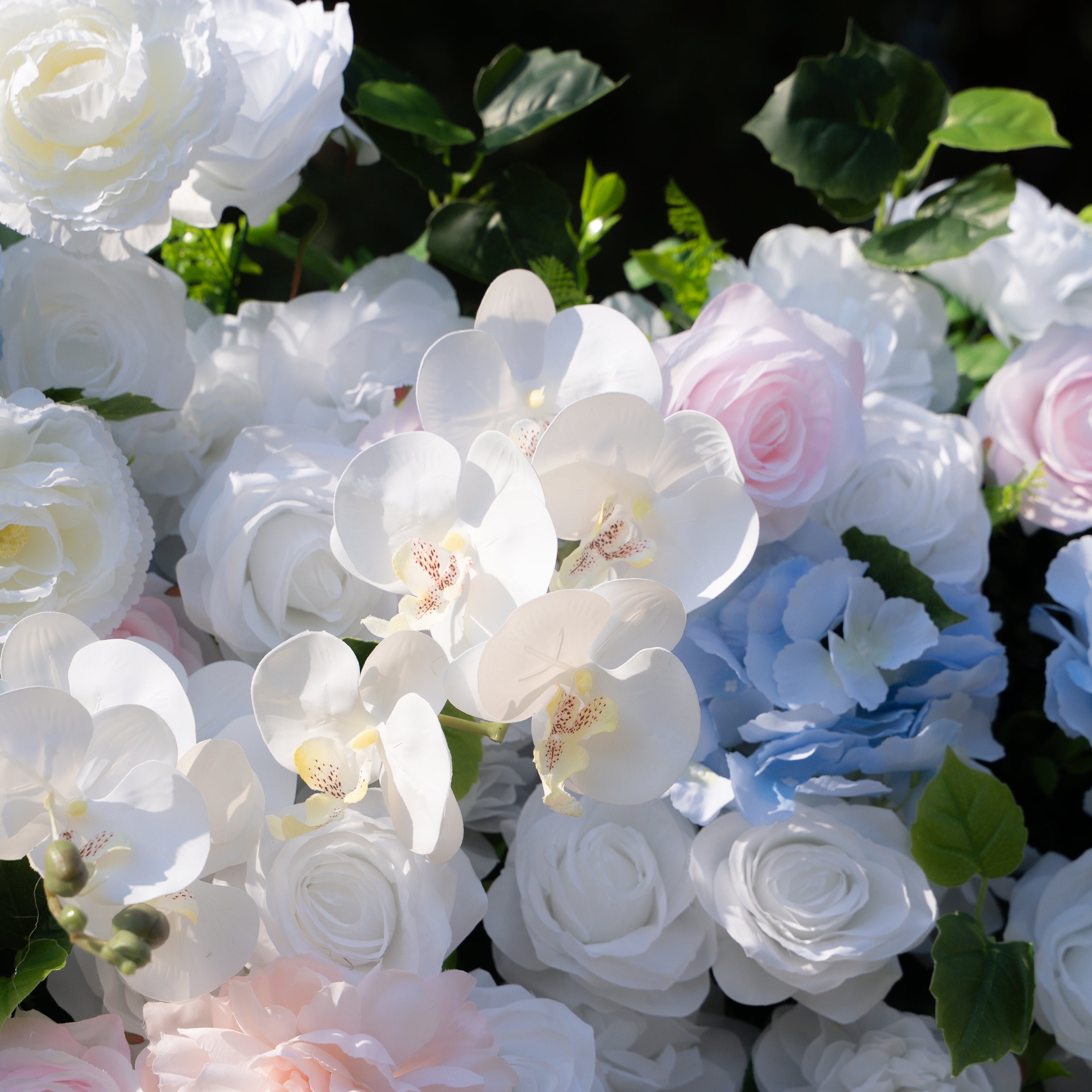 Serene: 3D Layered Flower Wall - Luxury Silk Rolling Backdrop (In US Stock 5-7 Days Delivered)