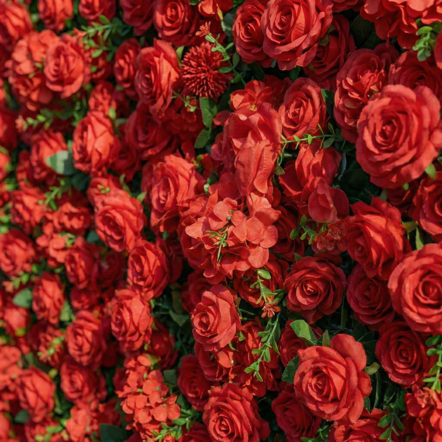 Ellis: Luxury 5D Crimson Silk Rose Flower Wall Roll-Up Fabric Backdrop for Romantic Proposals &amp; Luxury Wedding Event
